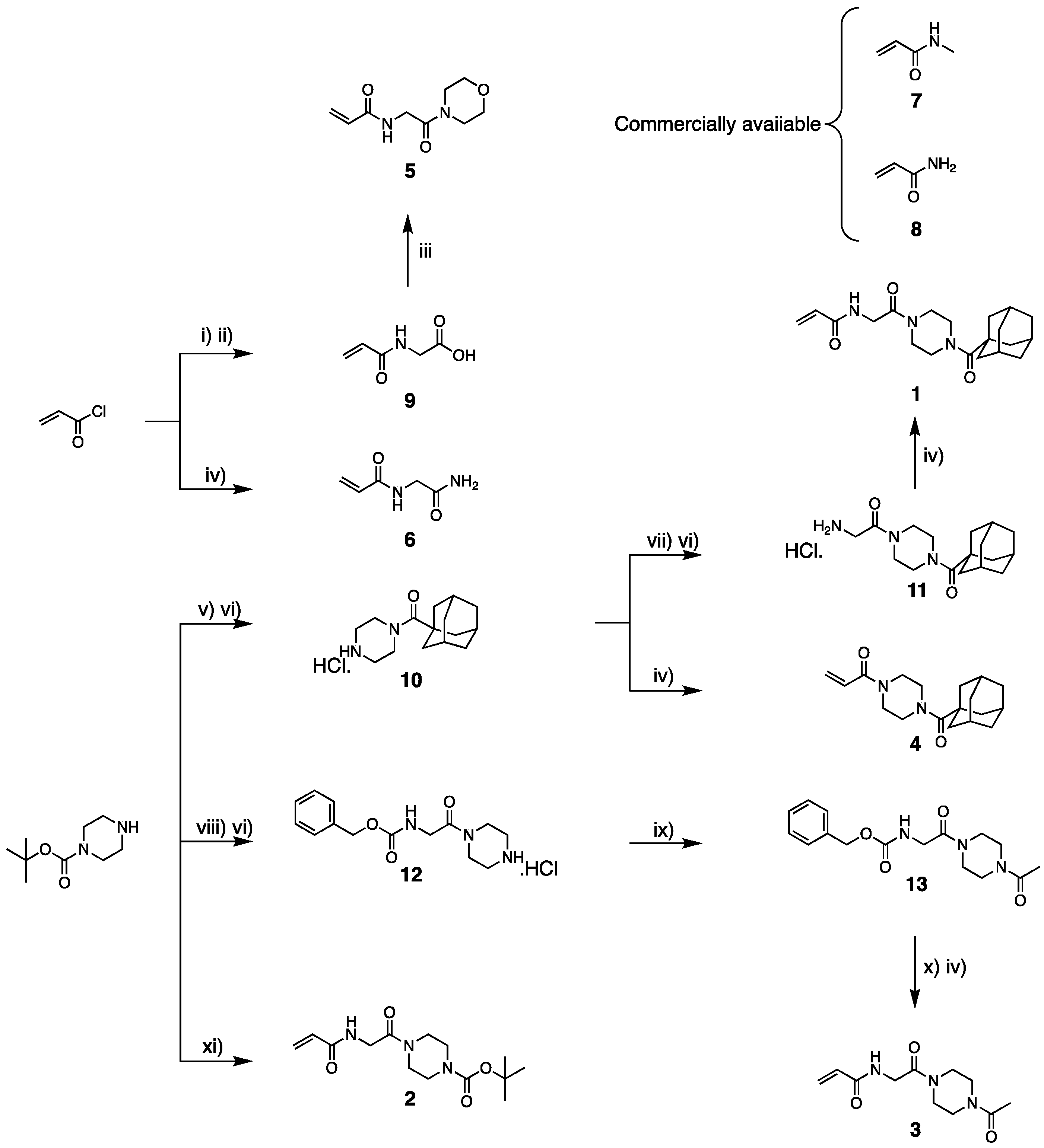 Biomolecules 14 00496 sch001 Biomolecules 14 00496 sch001