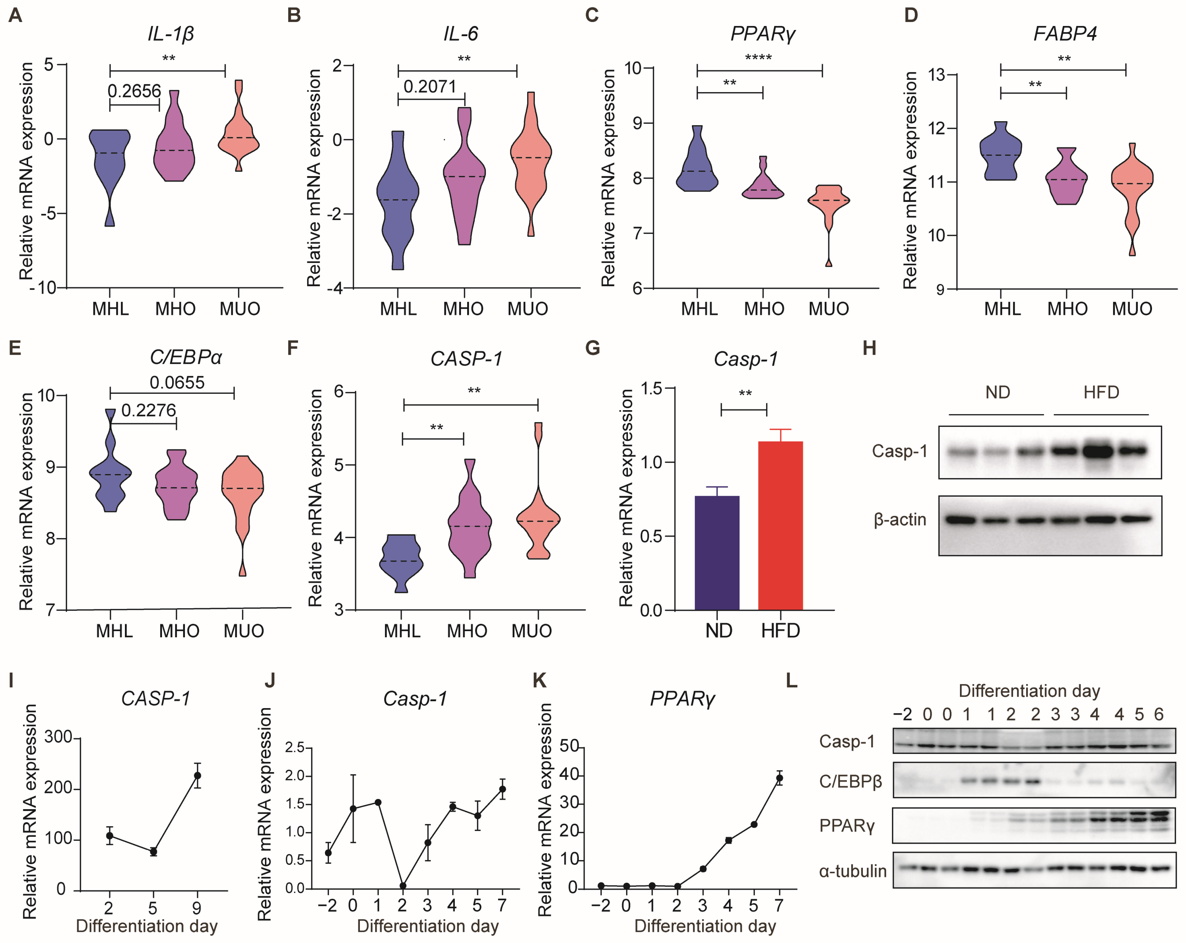 Biomolecules 14 00501 g001