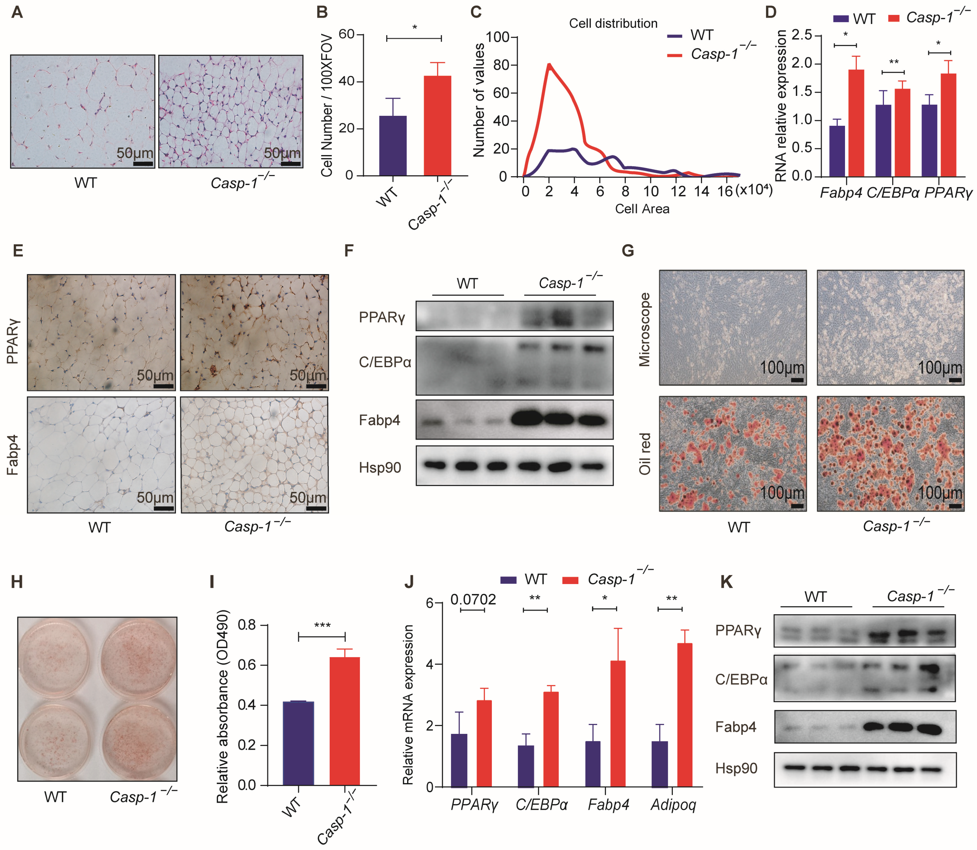 Biomolecules 14 00501 g003