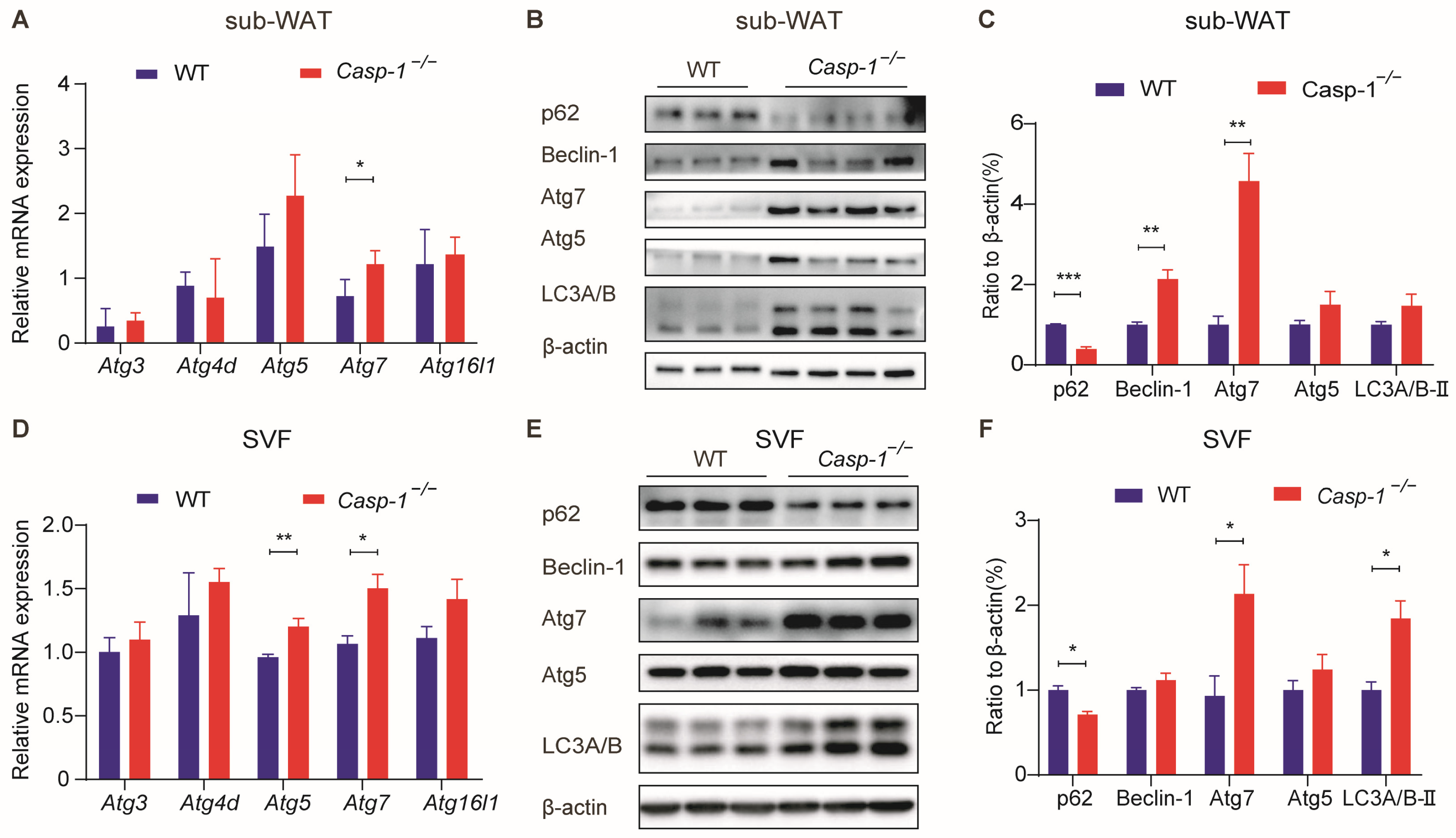 Biomolecules 14 00501 g004