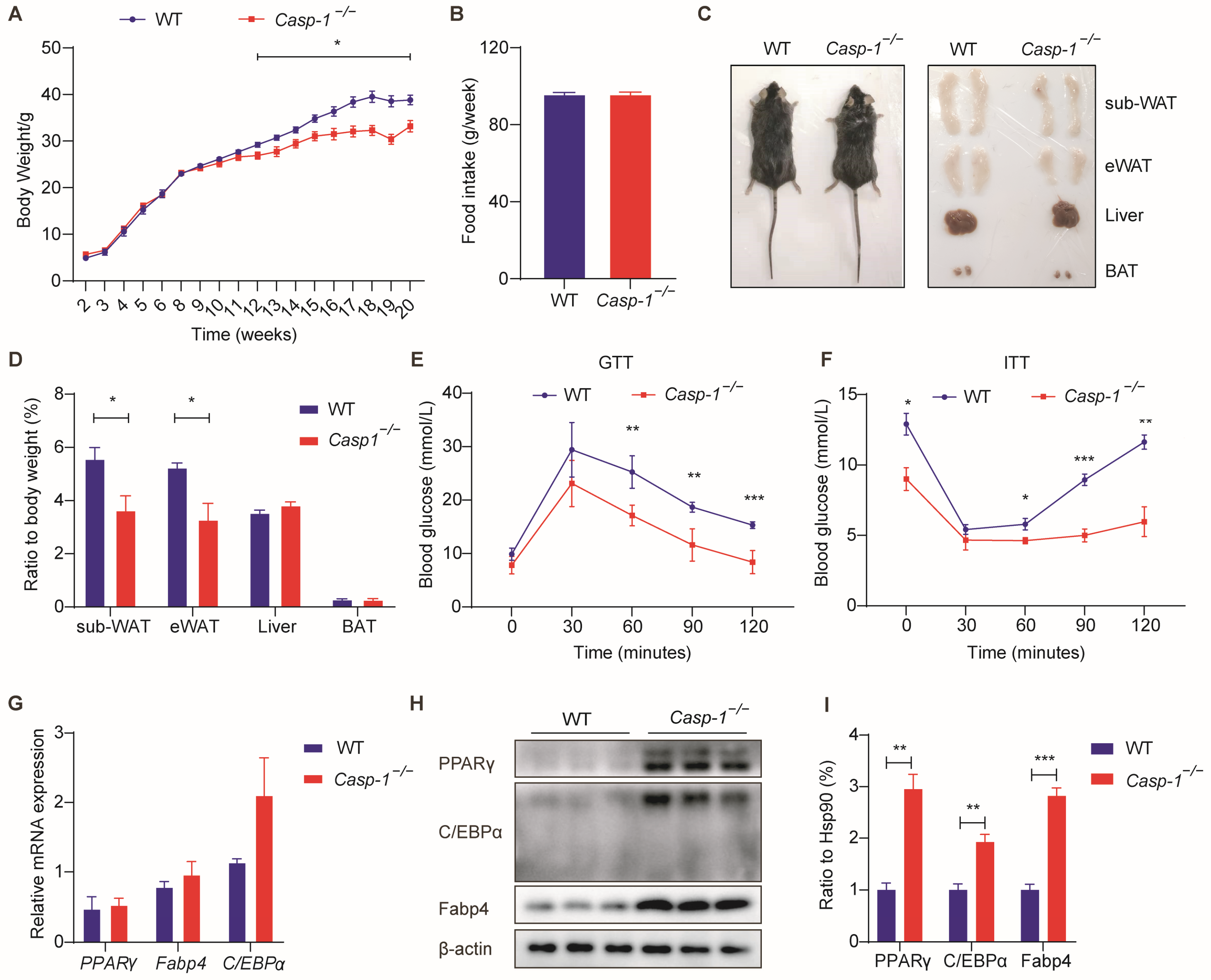 Biomolecules 14 00501 g007