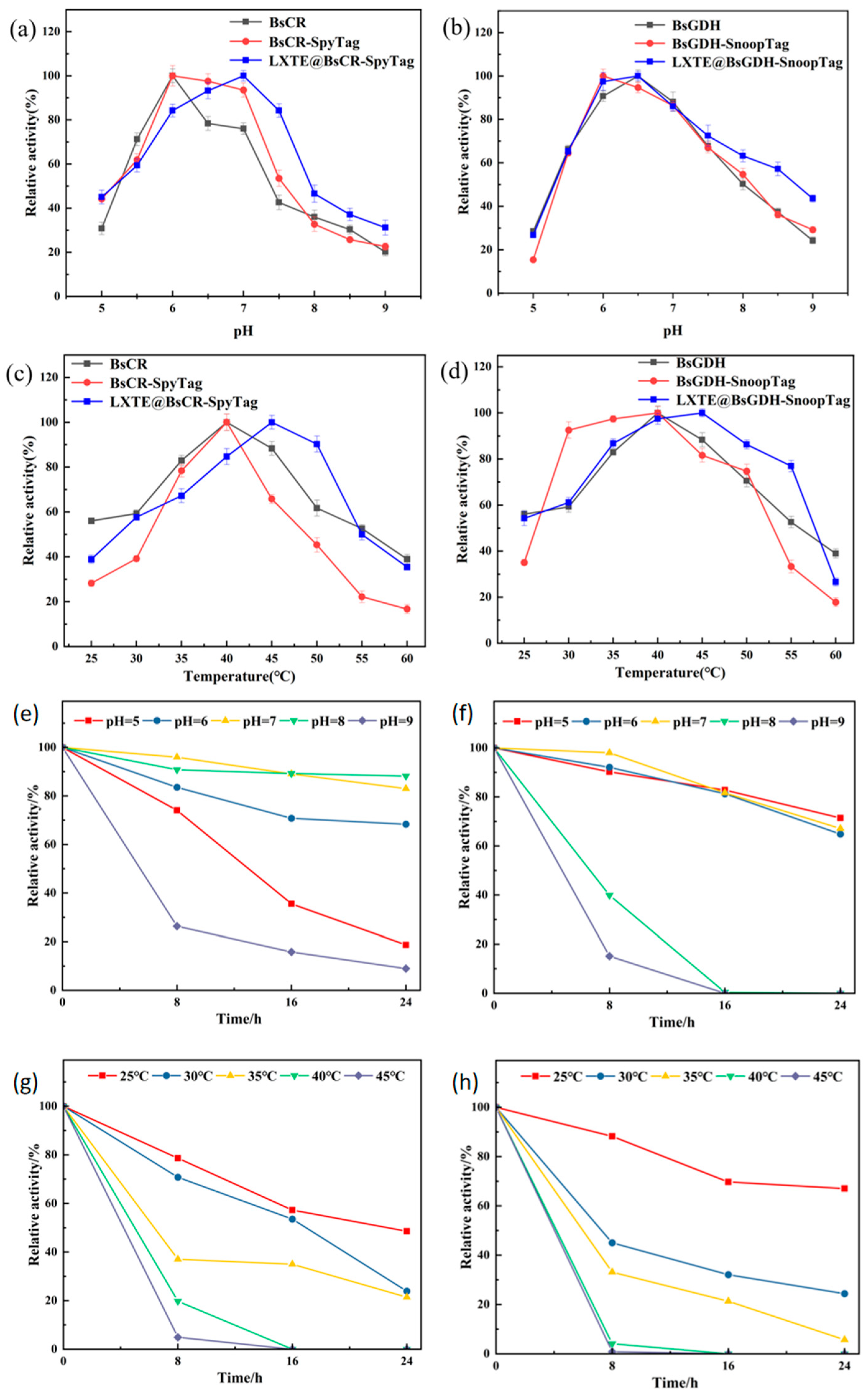 Biomolecules 14 00504 g005
