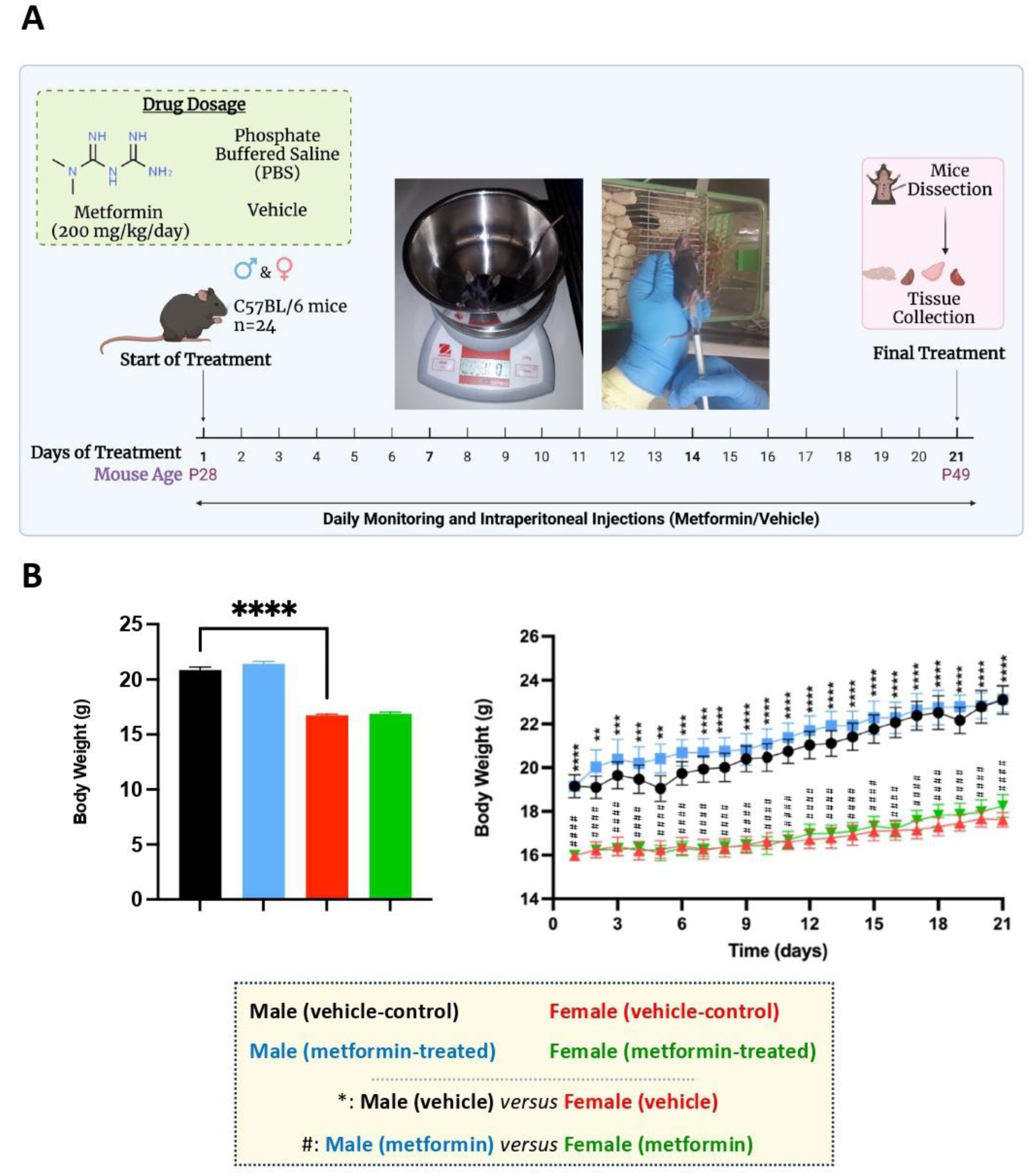 Biomolecules 14 00505 g001
