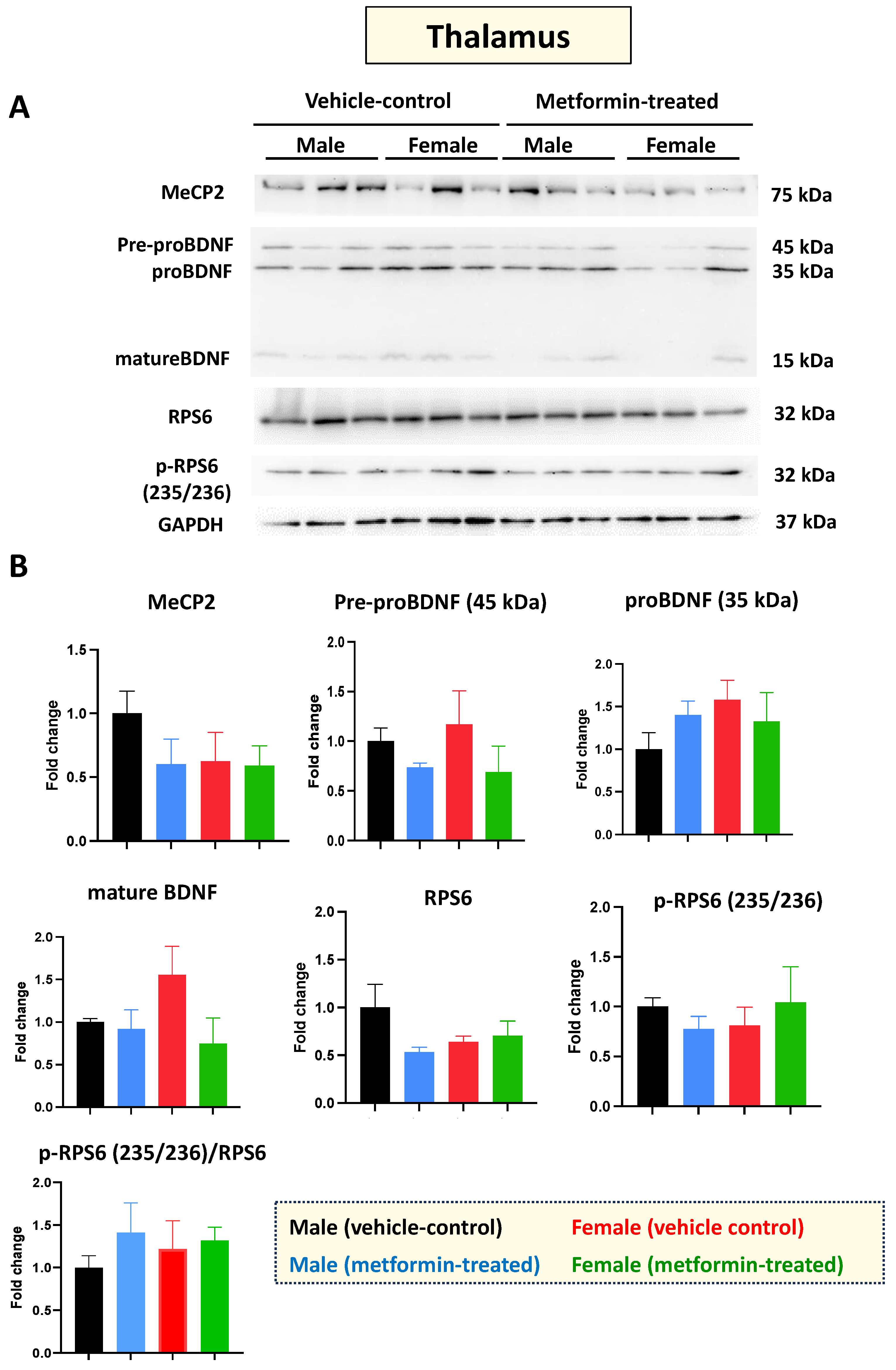 Biomolecules 14 00505 g005