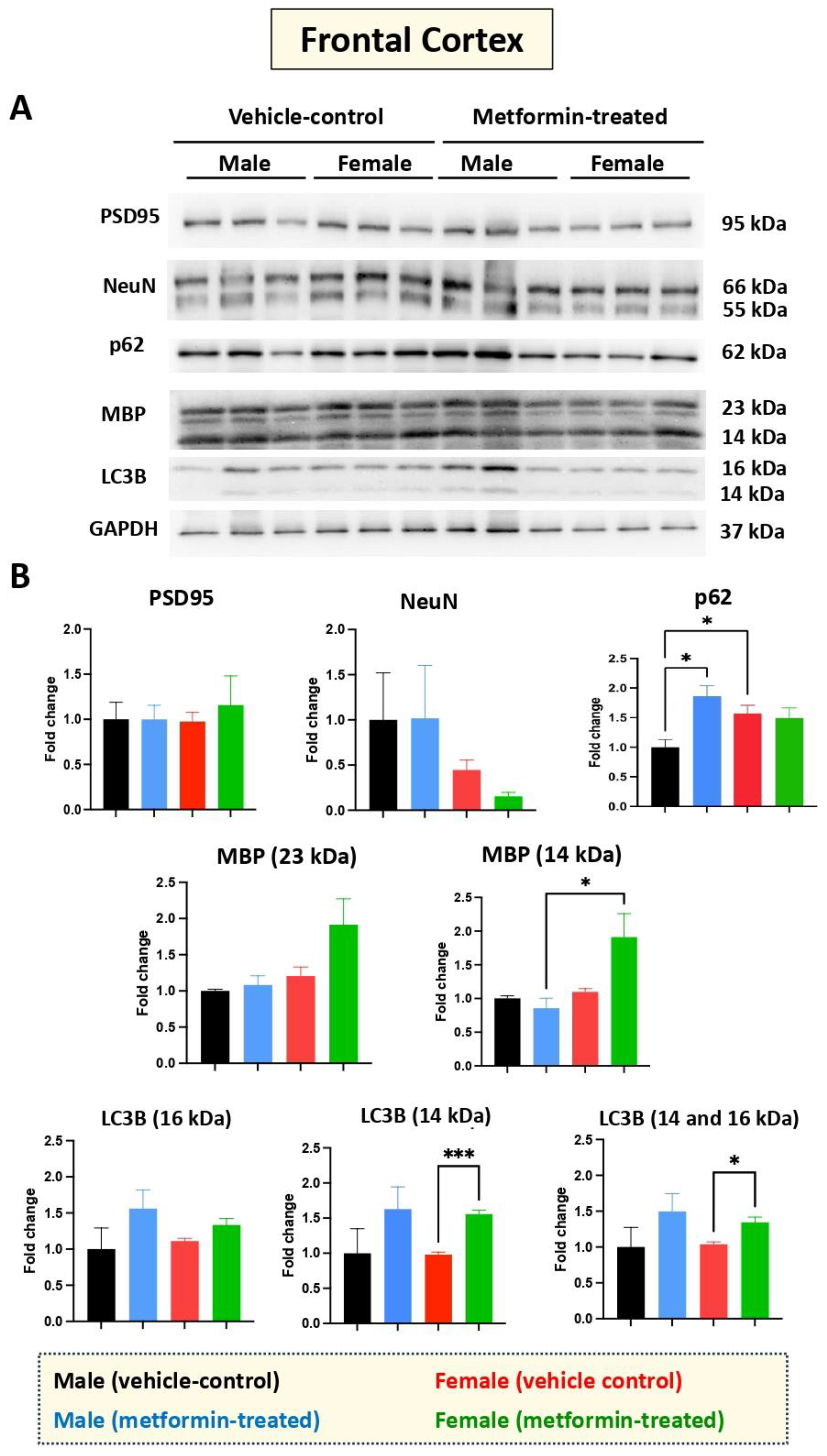 Biomolecules 14 00505 g007