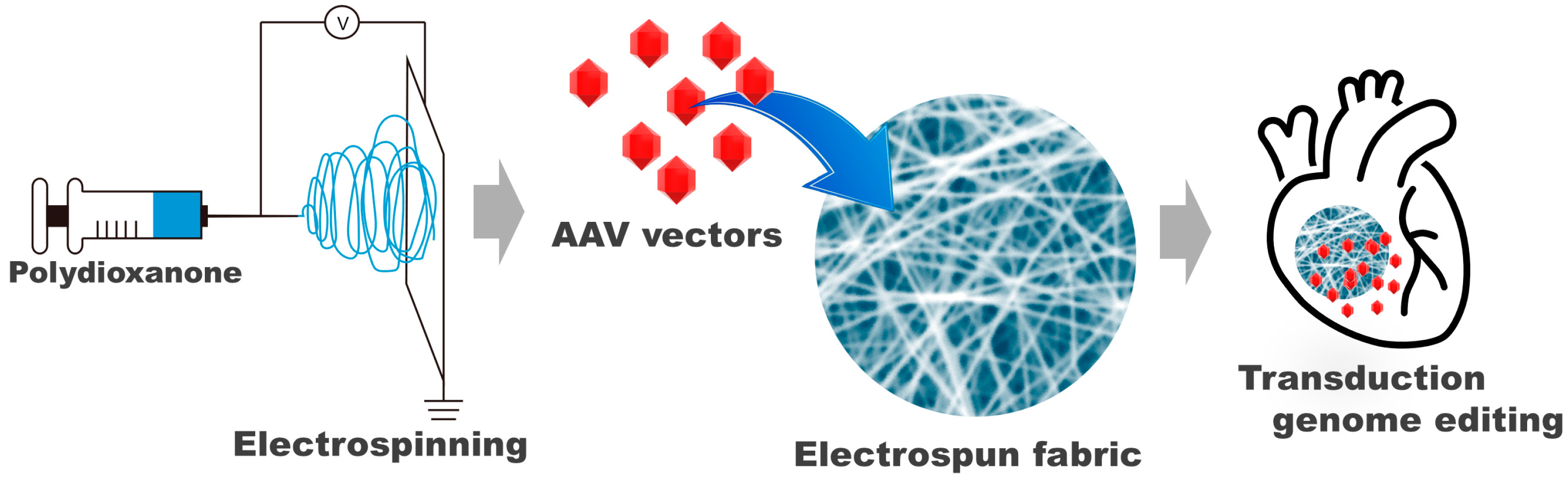 Biomolecules 14 00506 g001