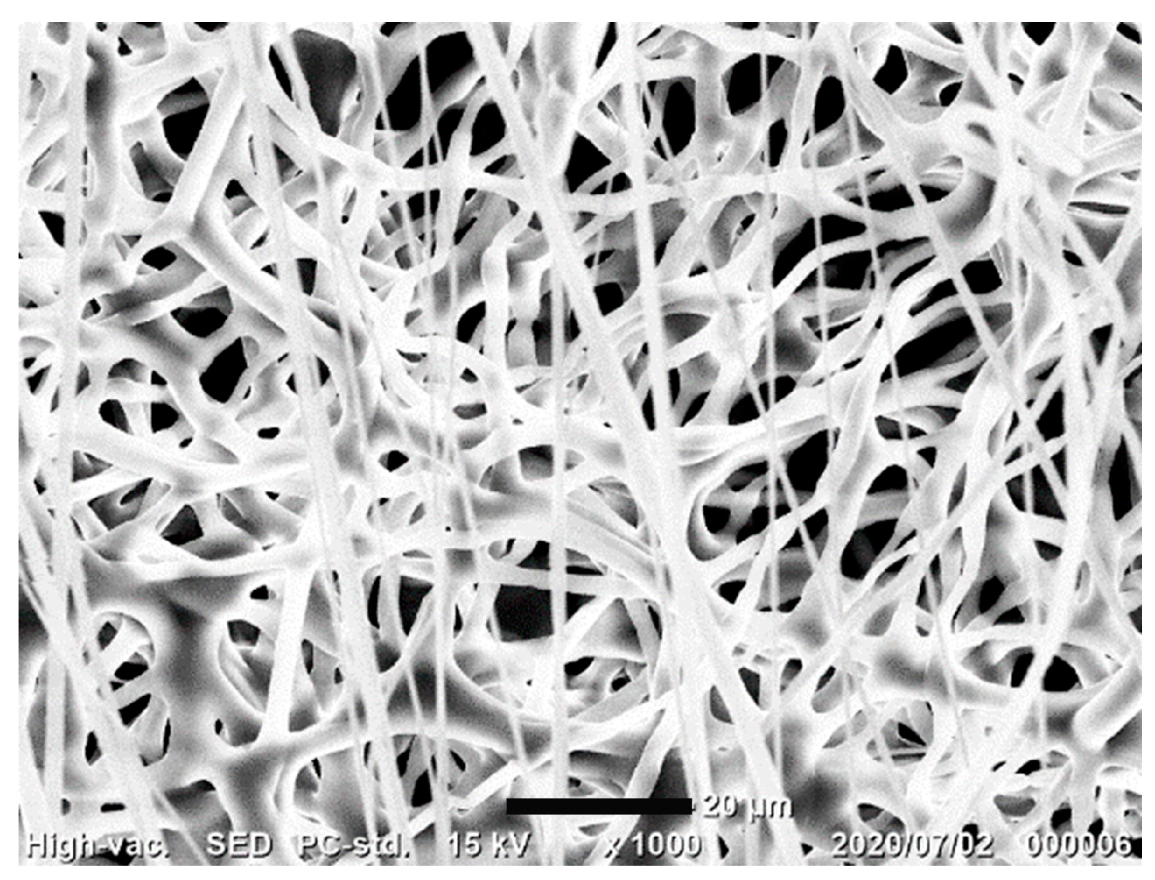 Biomolecules 14 00506 g002