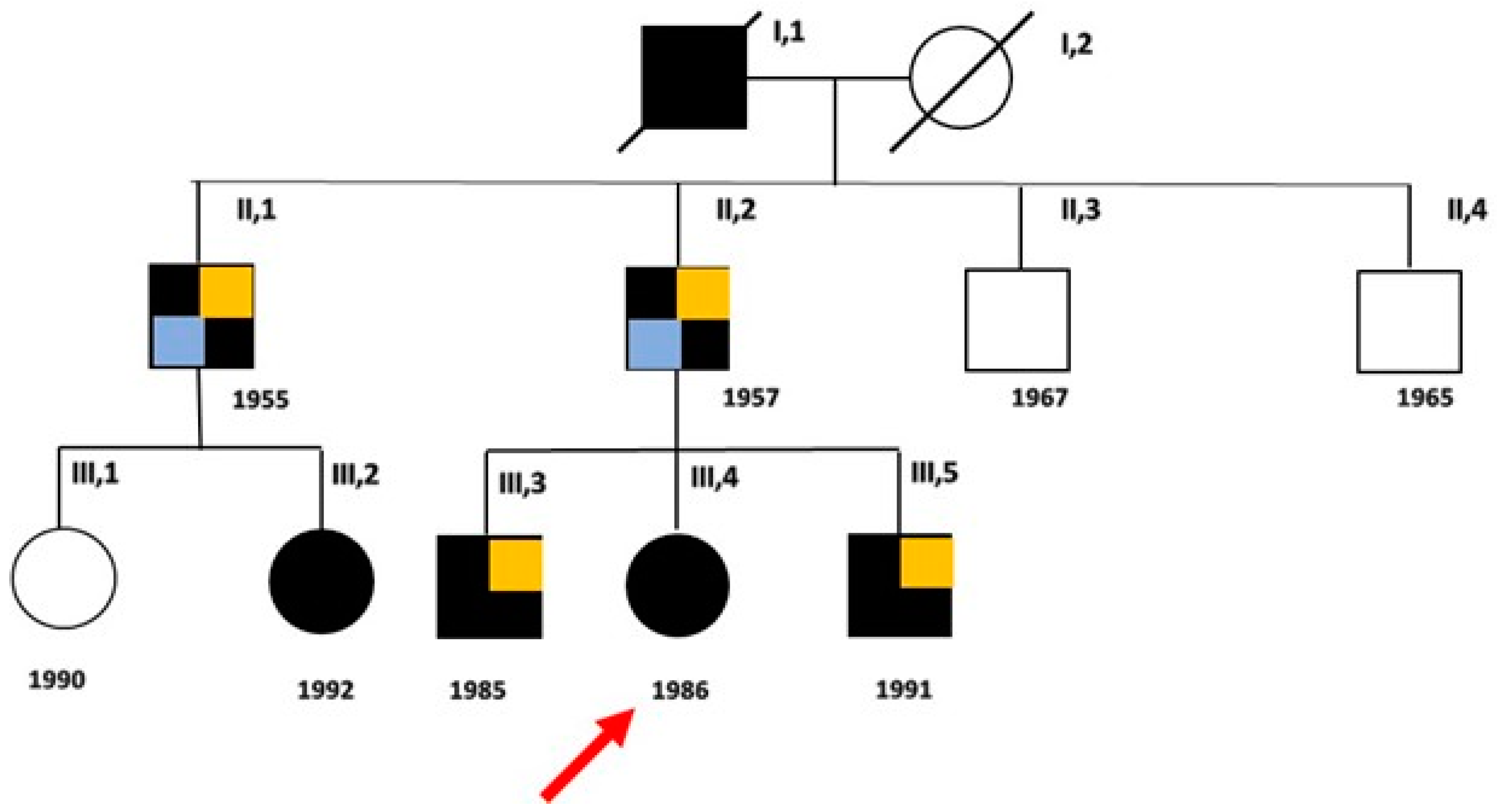 Biomolecules 14 00507 g001 Biomolecules 14 00507 g001