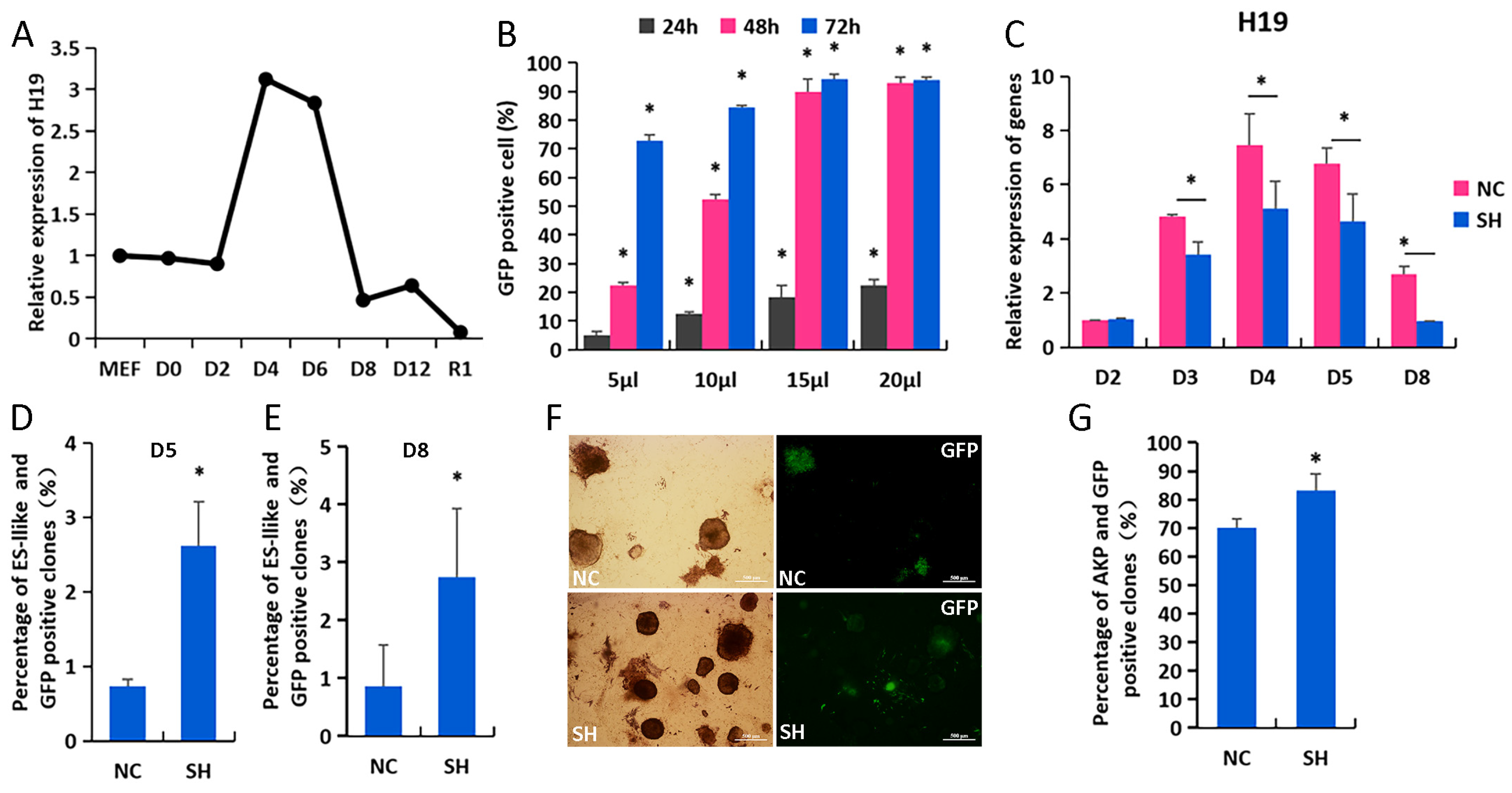 Biomolecules 14 00509 g001