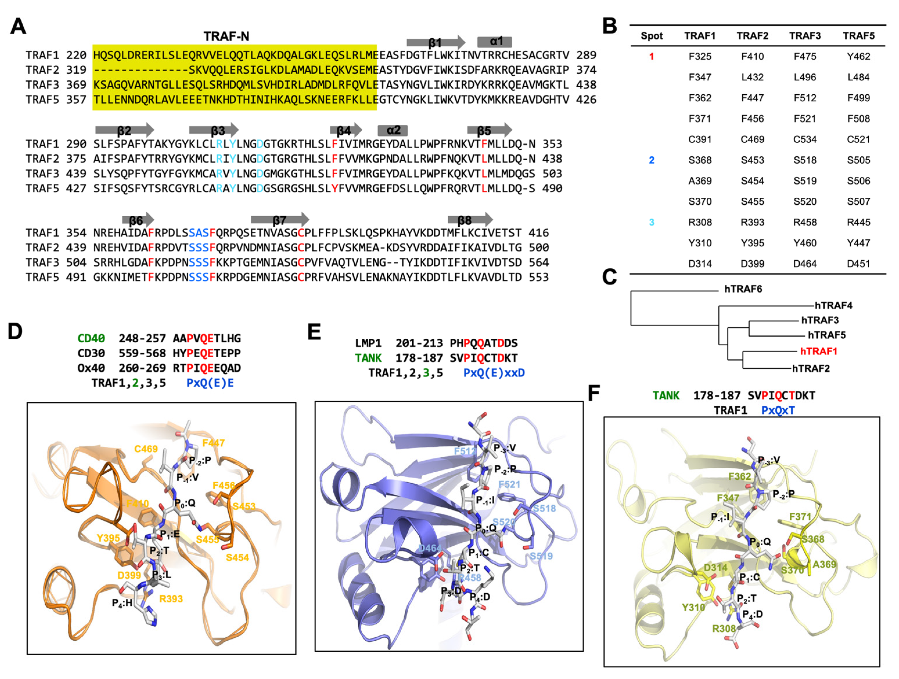 Biomolecules 14 00510 g002 Biomolecules 14 00510 g002