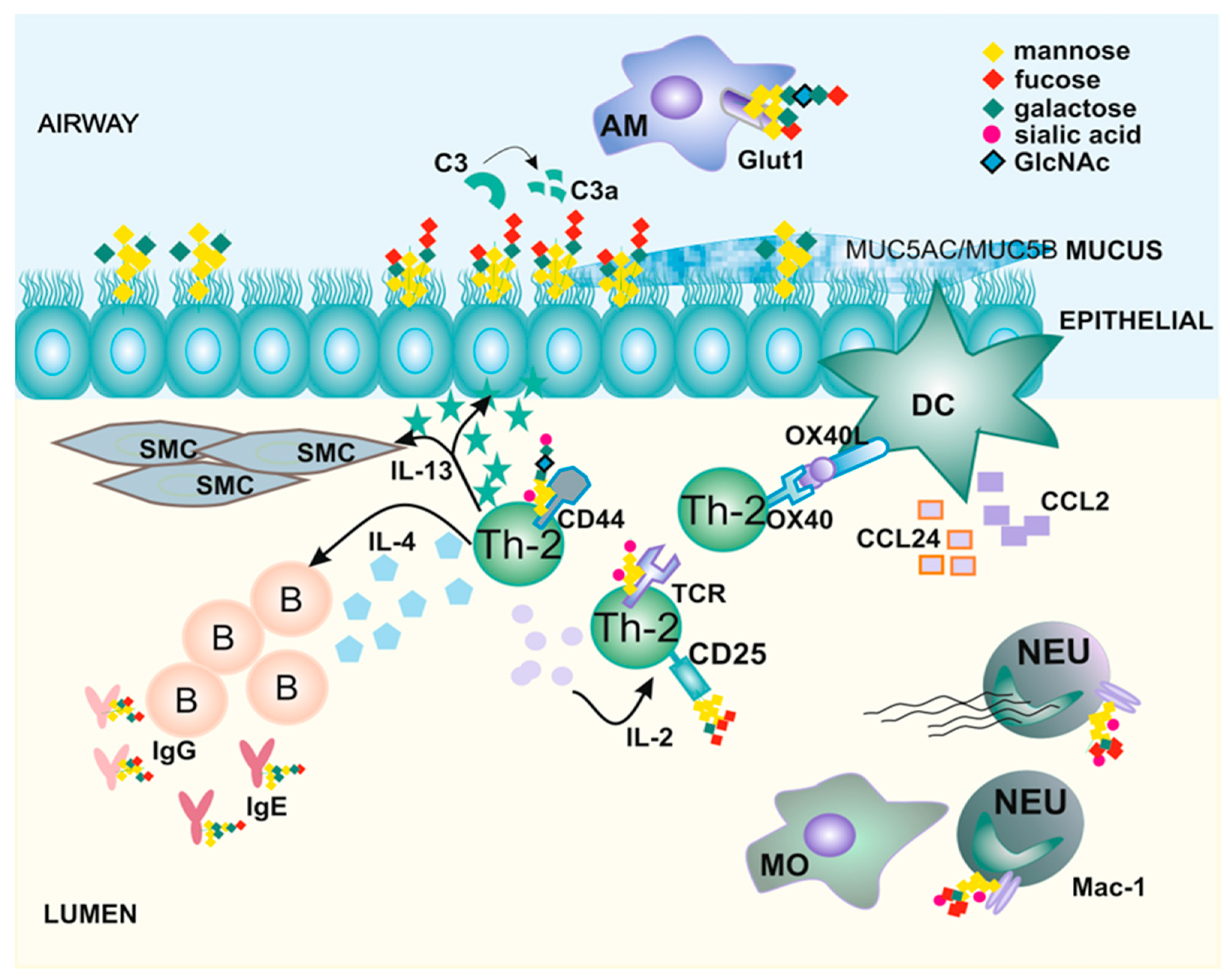 Biomolecules 14 00513 g001 Biomolecules 14 00513 g001