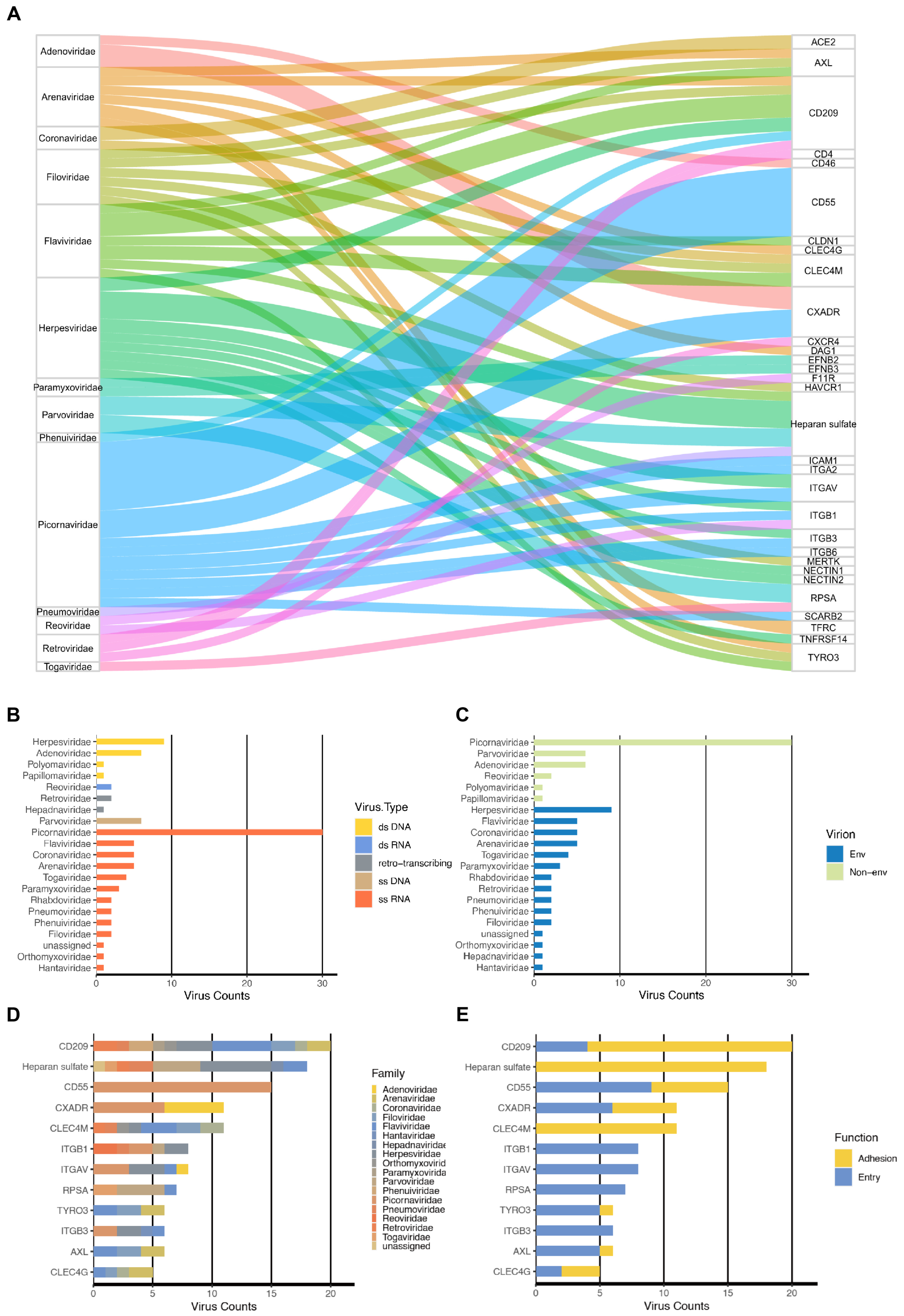 Biomolecules 14 00516 g002 Biomolecules 14 00516 g002