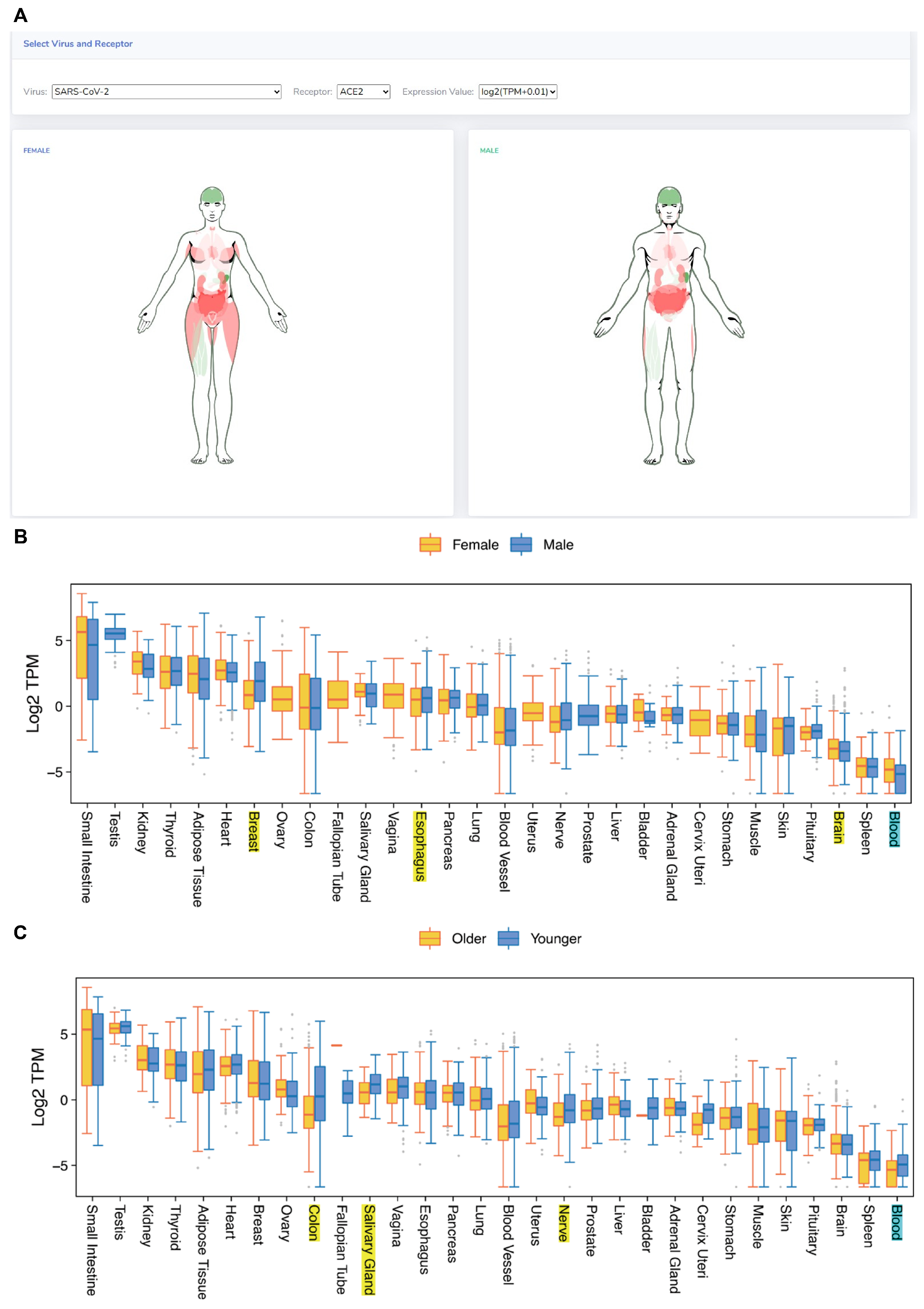 Biomolecules 14 00516 g004 Biomolecules 14 00516 g004