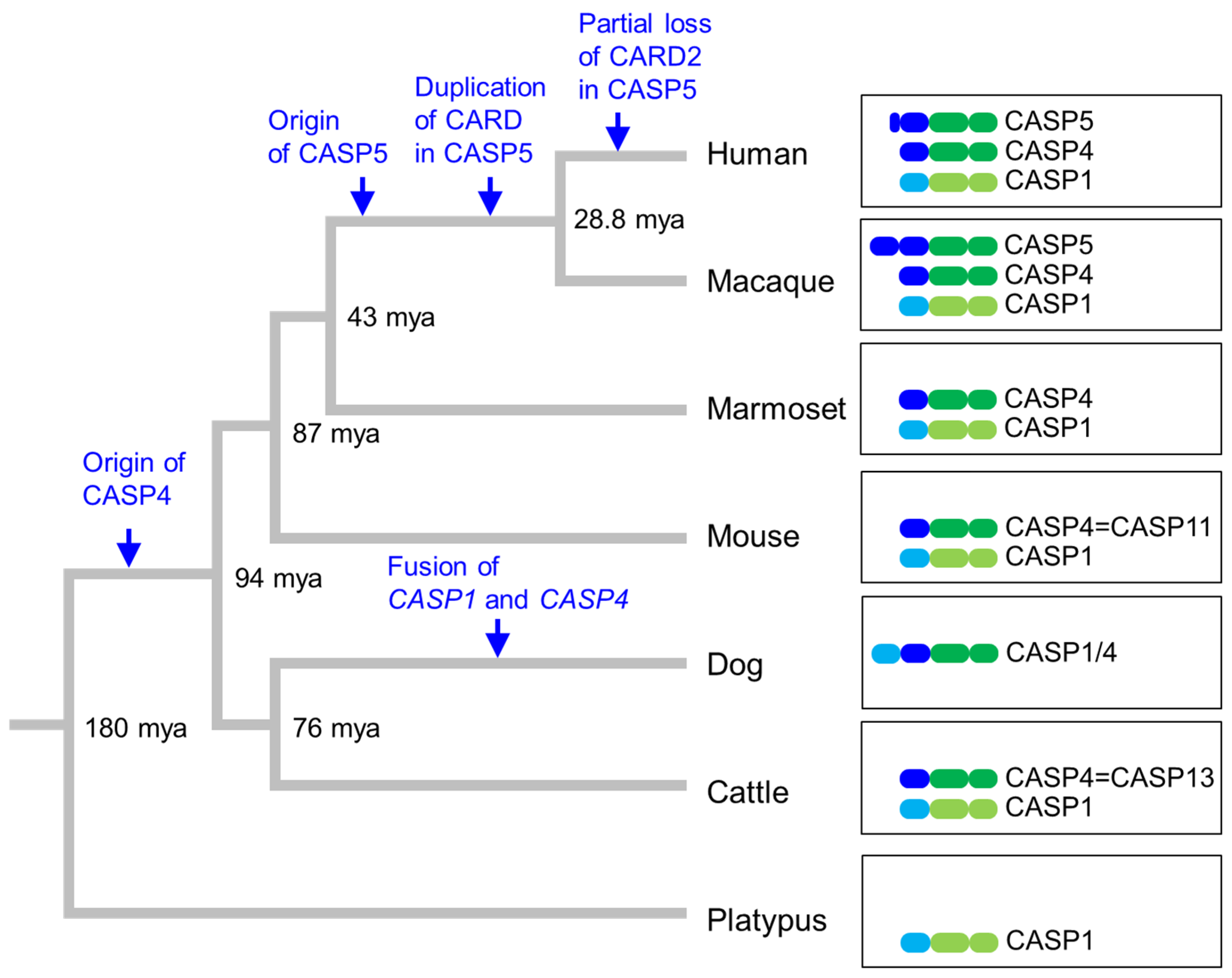 Biomolecules 14 00520 g004