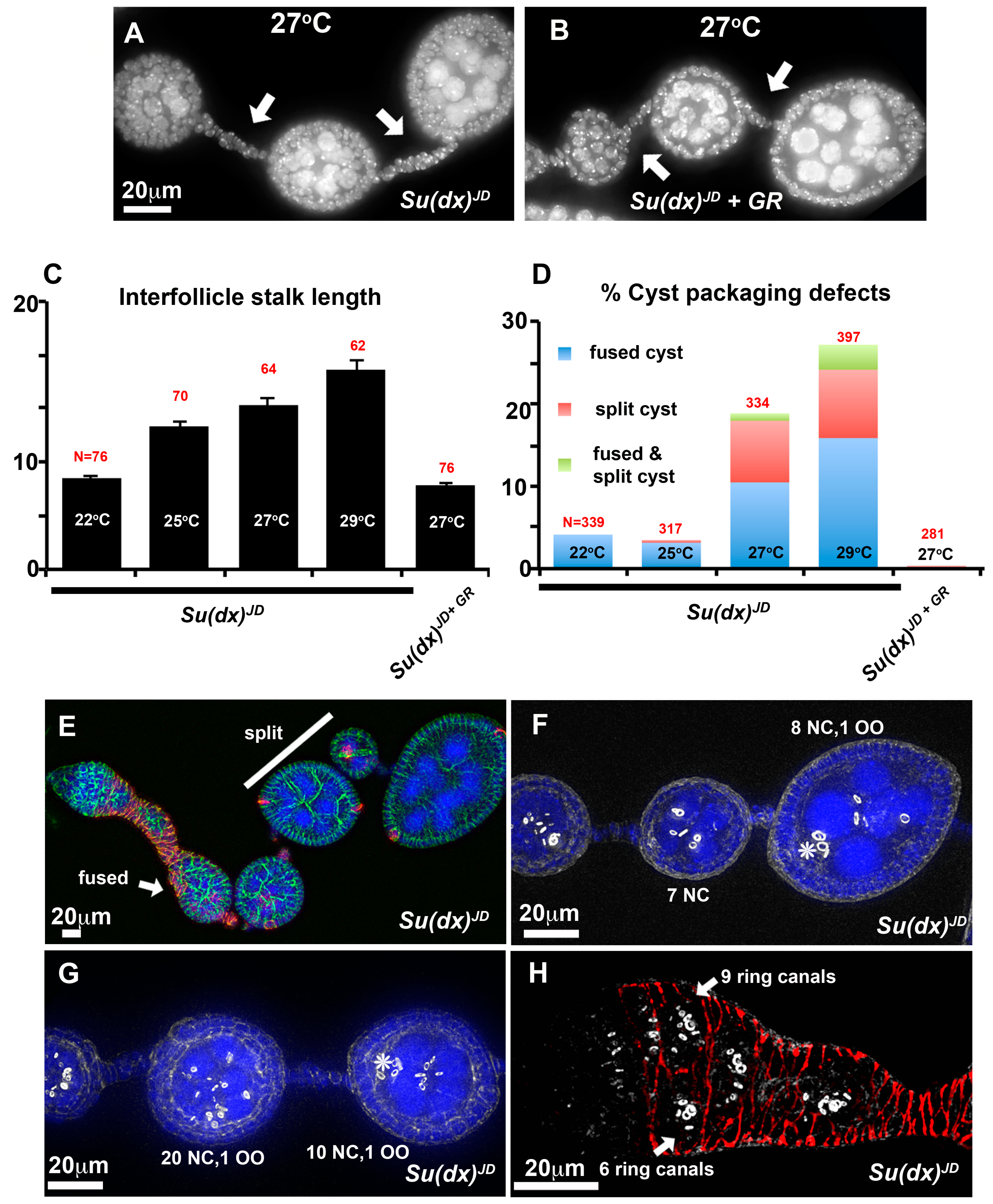 Biomolecules 14 00522 g003
