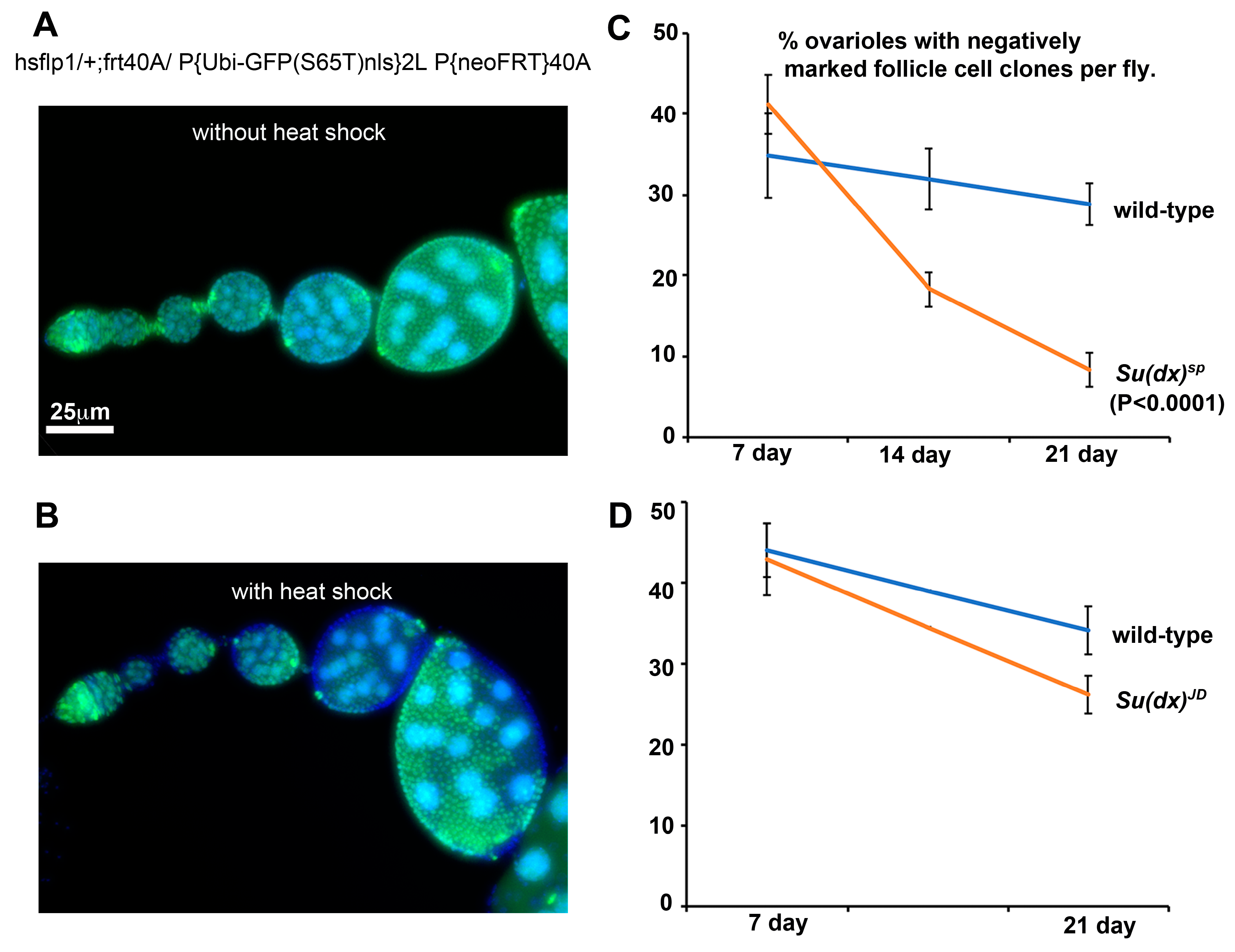 Biomolecules 14 00522 g005