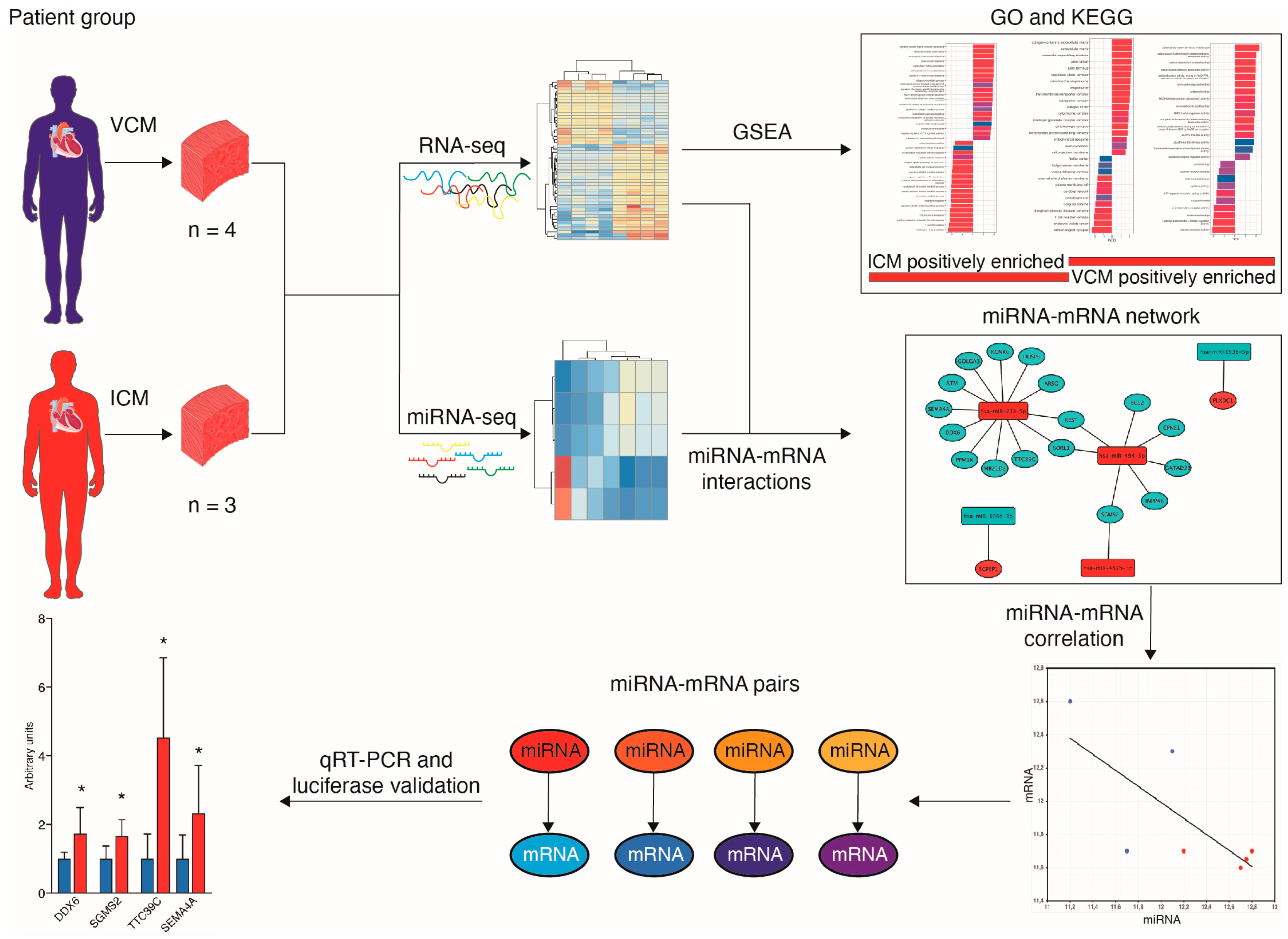 Biomolecules 14 00524 g001 Biomolecules 14 00524 g001