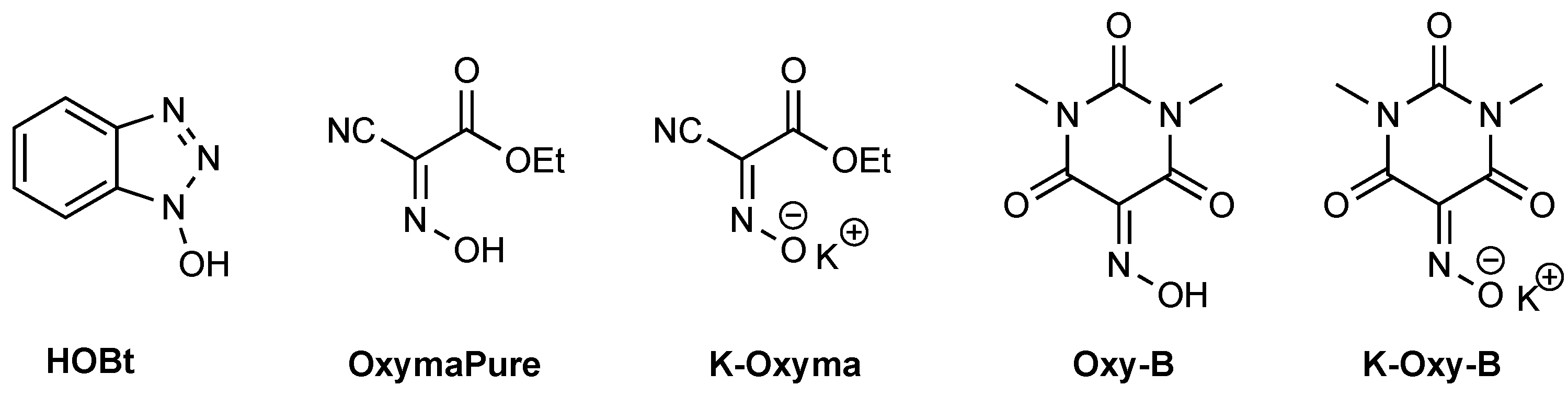Biomolecules 14 00526 g001