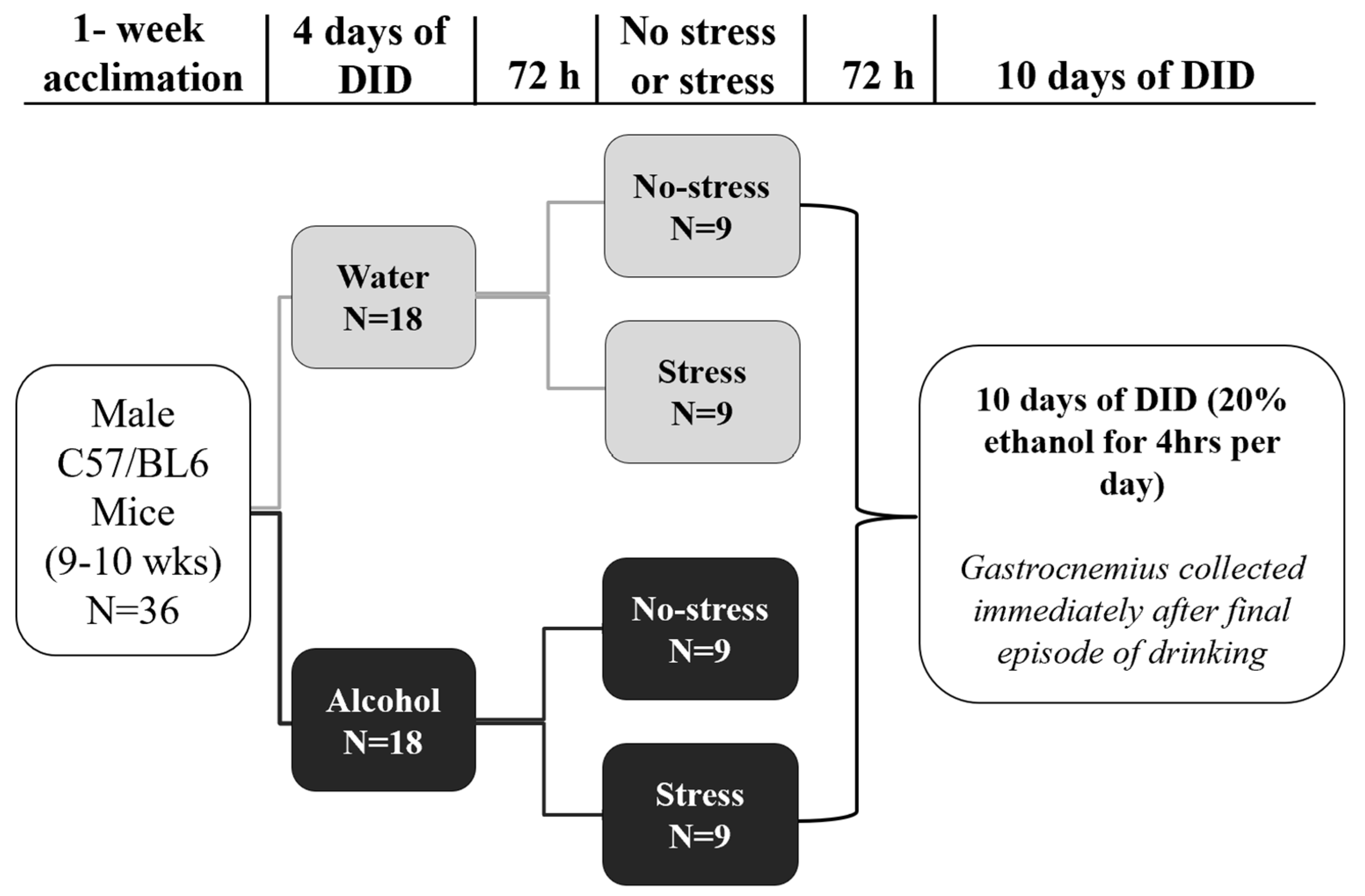 Biomolecules 14 00527 g001