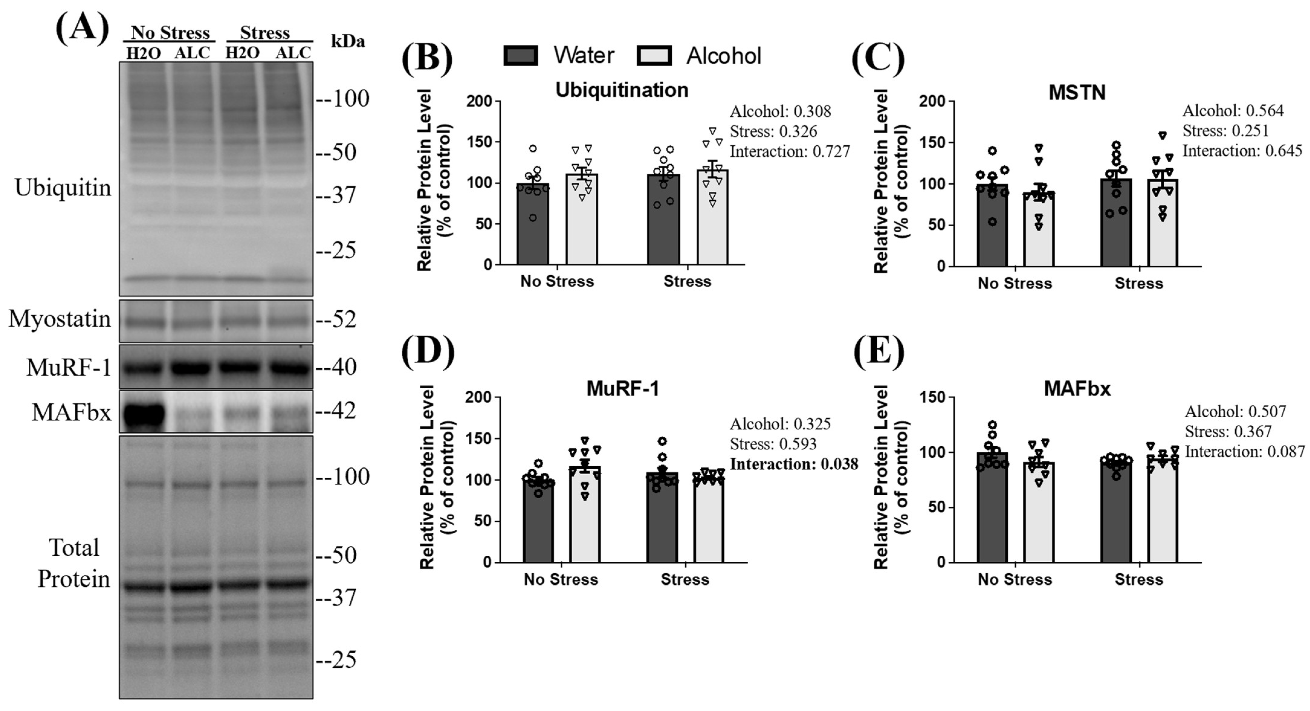 Biomolecules 14 00527 g003