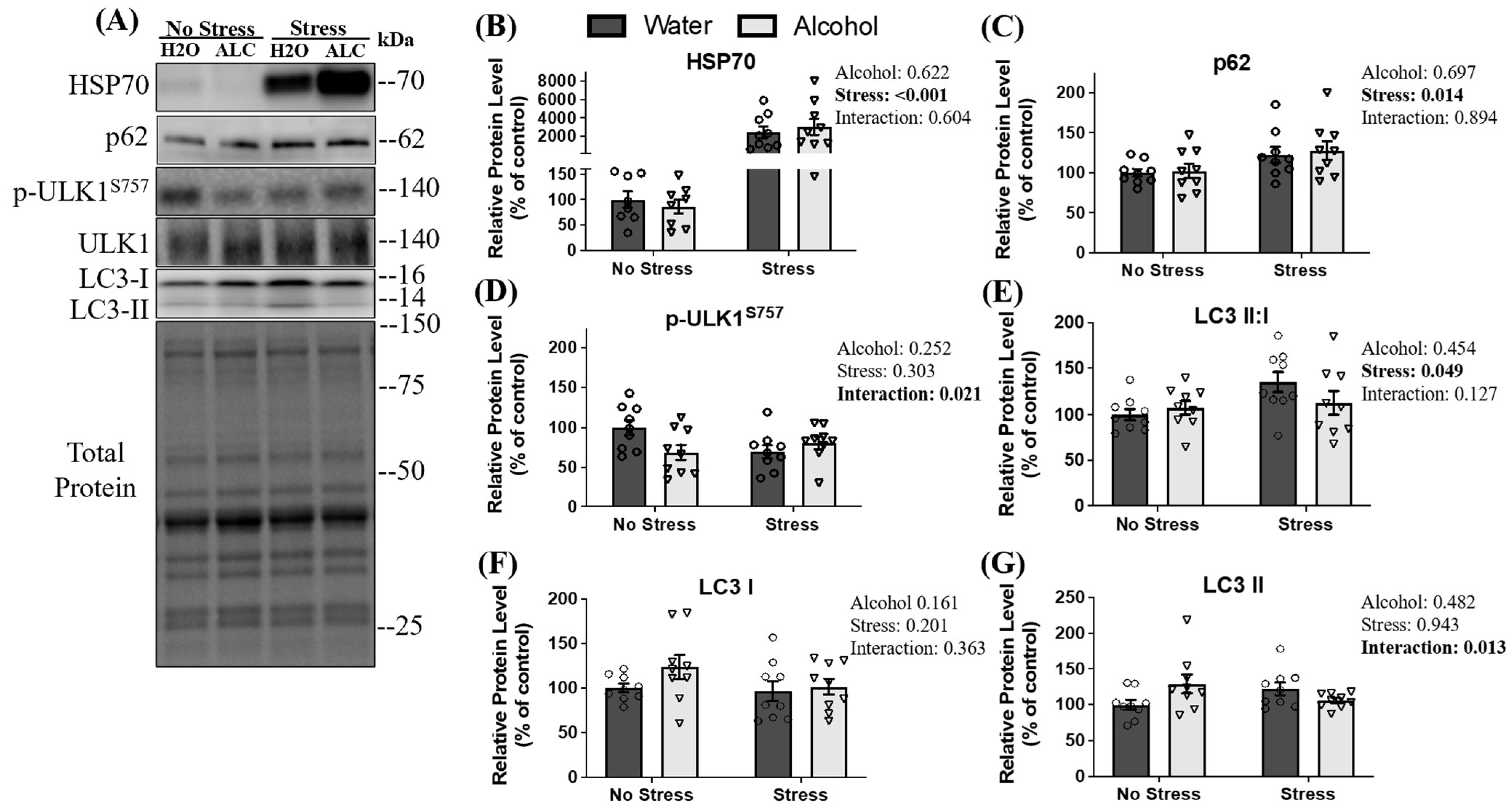 Biomolecules 14 00527 g004