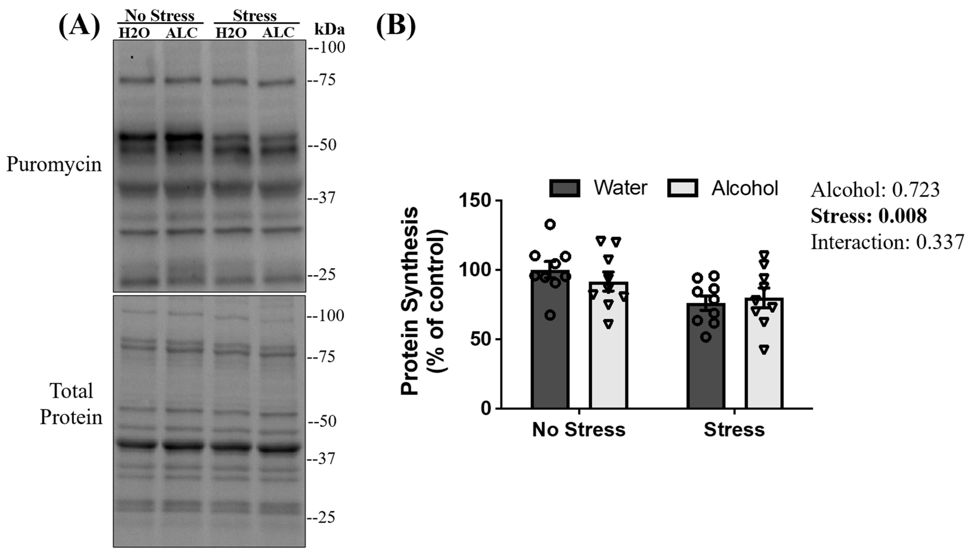 Biomolecules 14 00527 g005