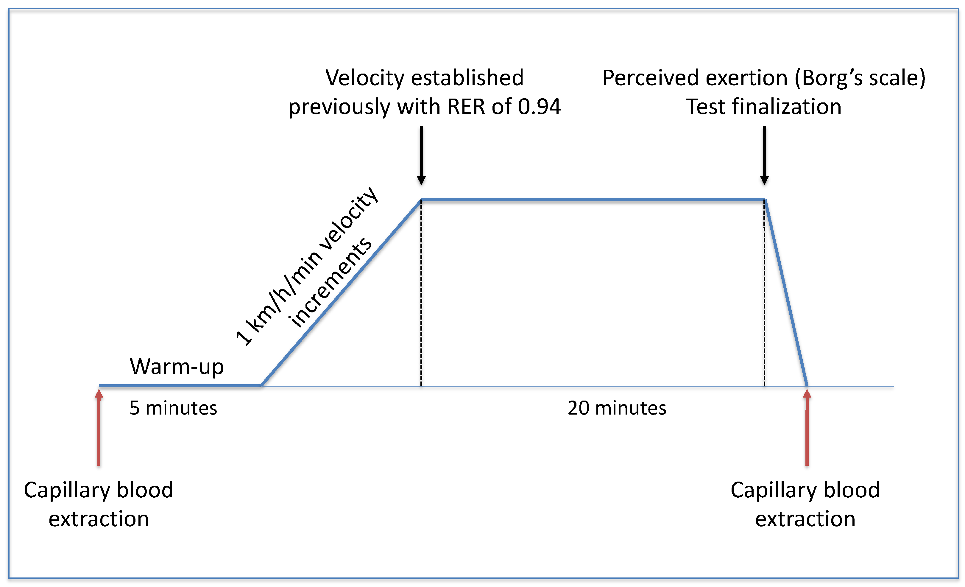 Biomolecules 14 00533 g001