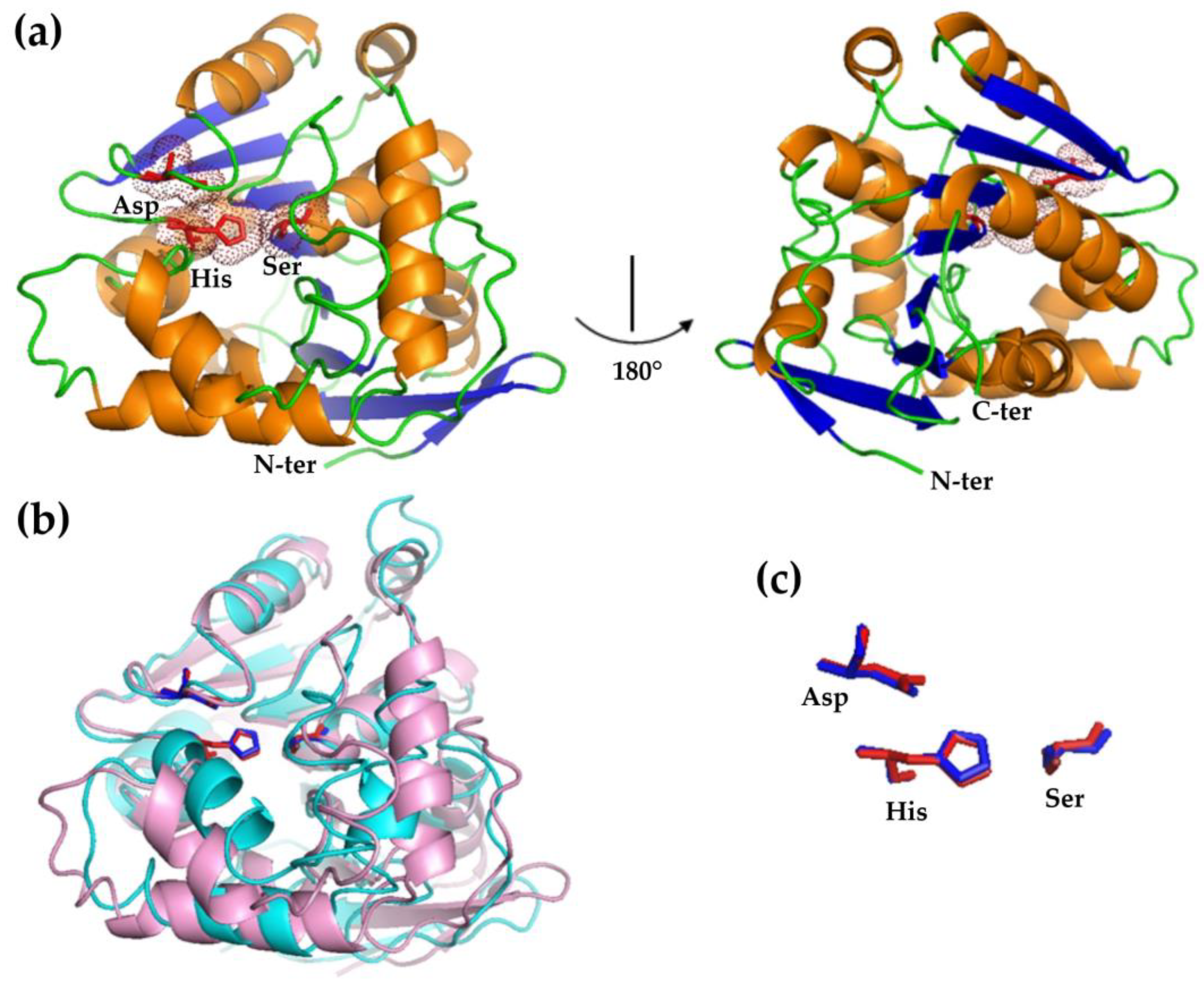Biomolecules 14 00534 g001
