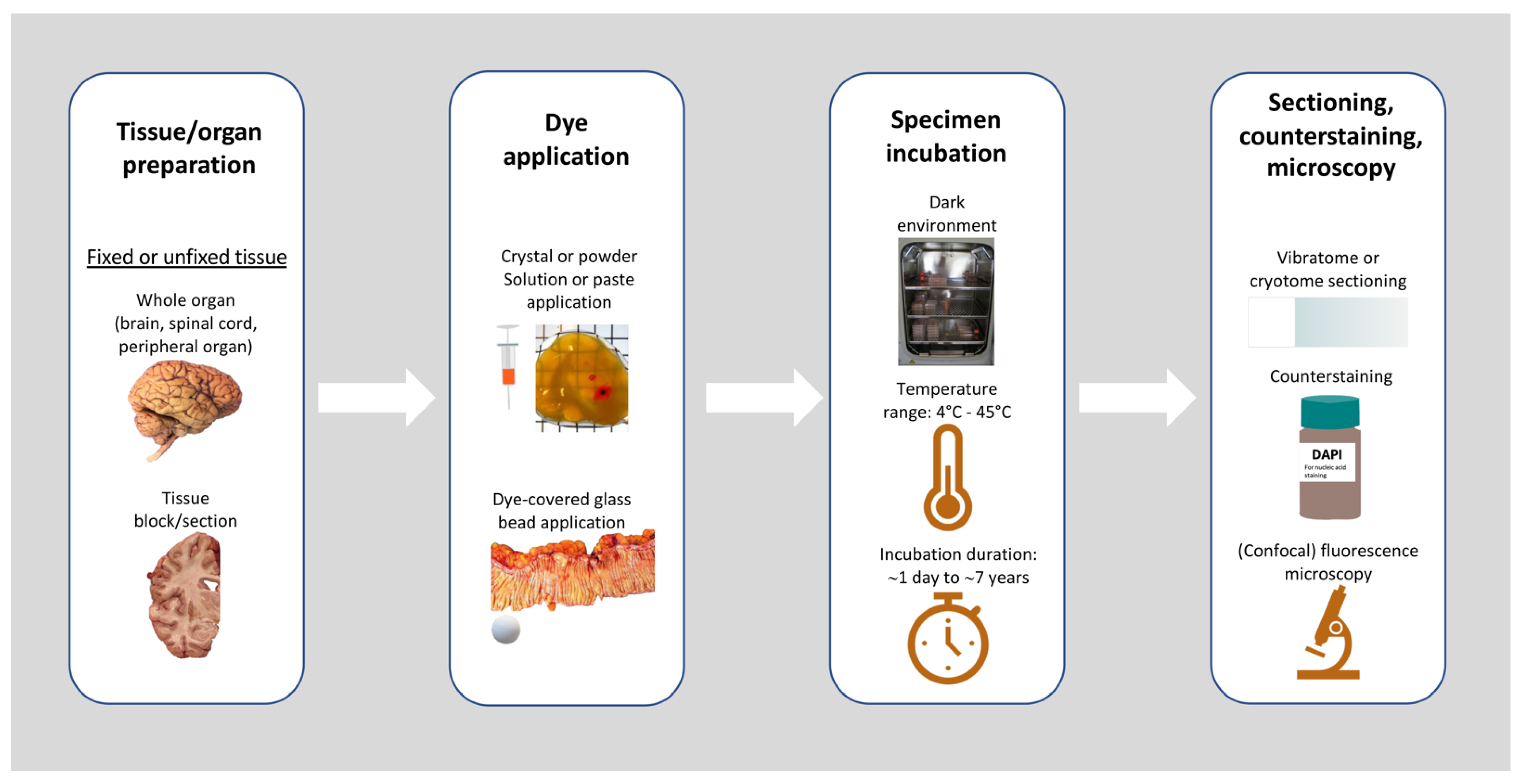 Biomolecules 14 00536 g002