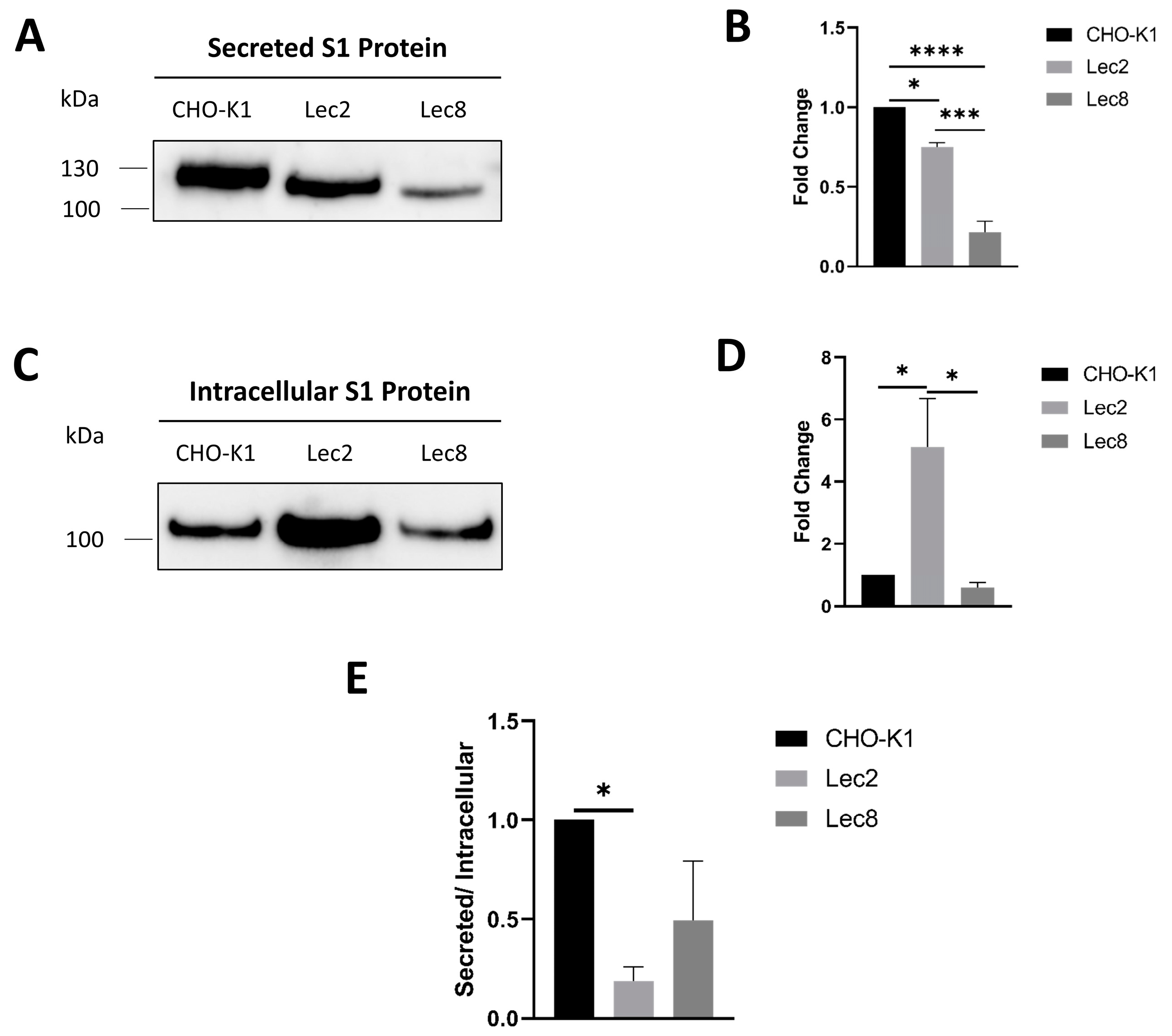Biomolecules 14 00537 g001