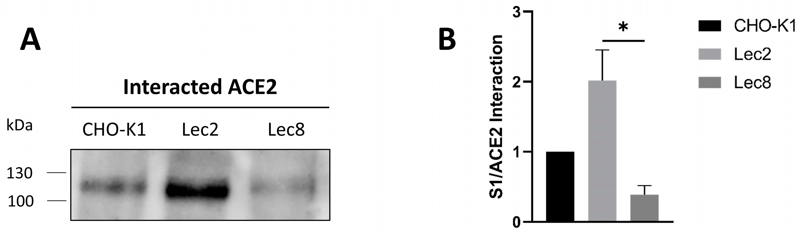 Biomolecules 14 00537 g002