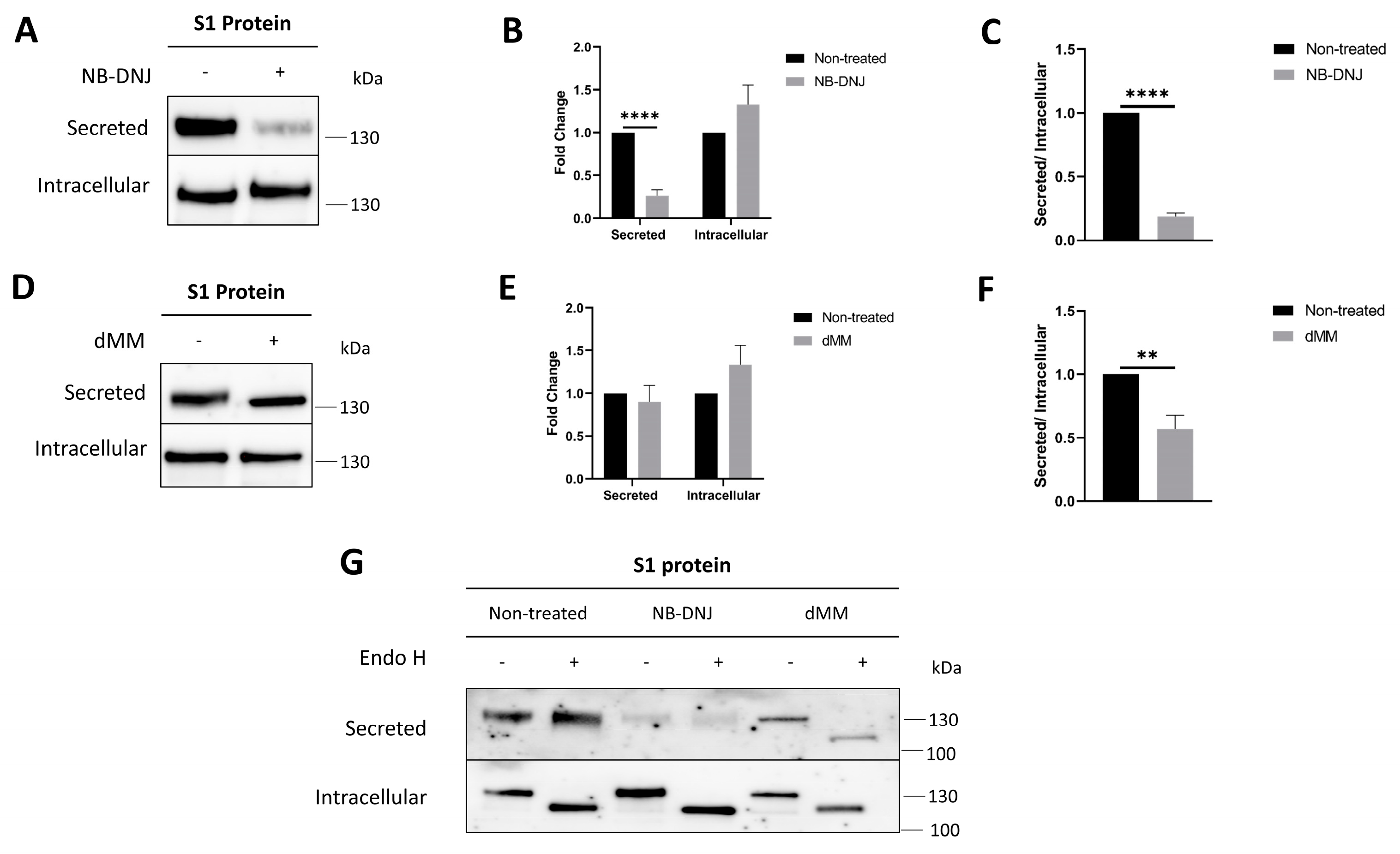 Biomolecules 14 00537 g003