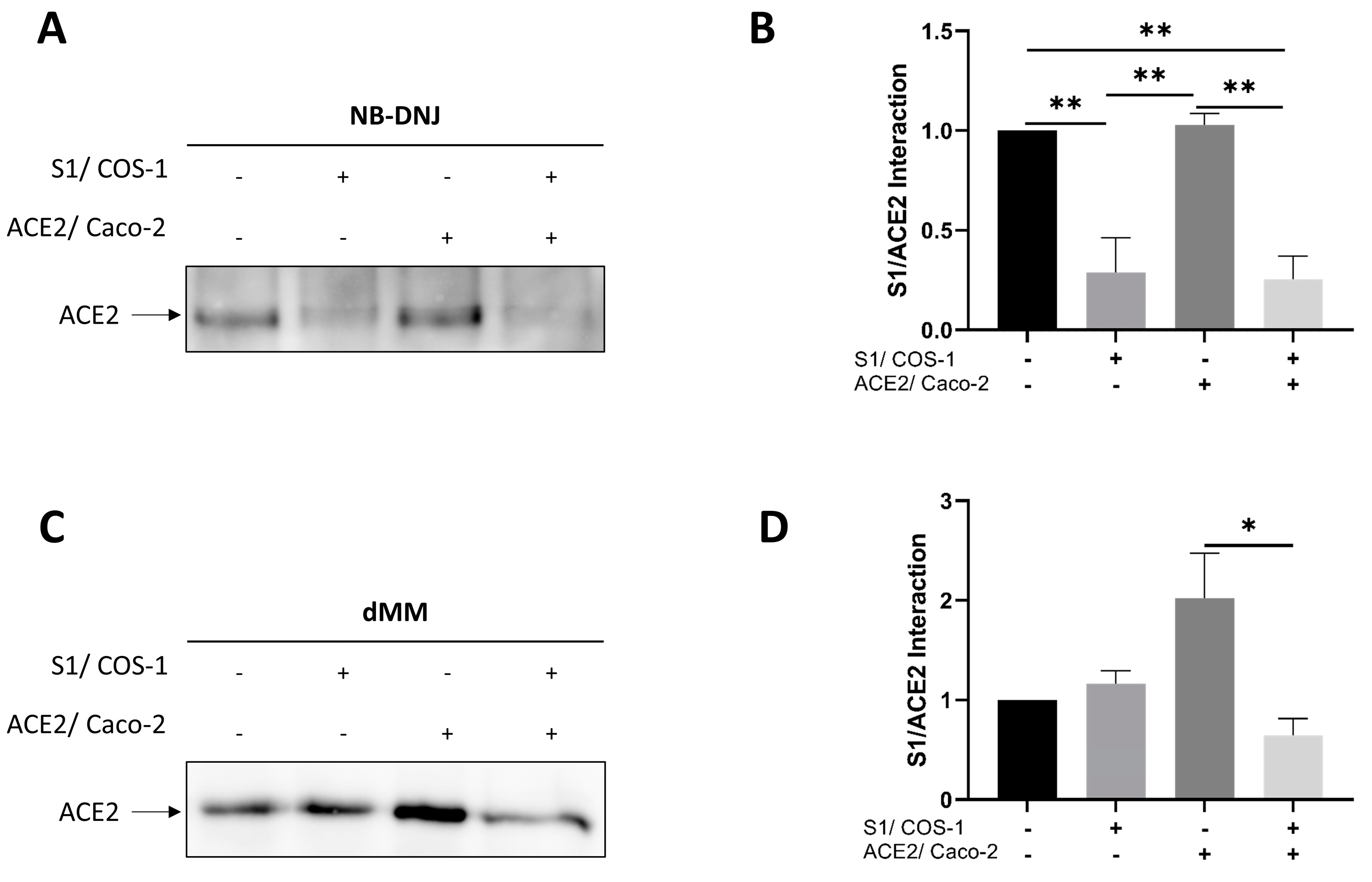Biomolecules 14 00537 g005