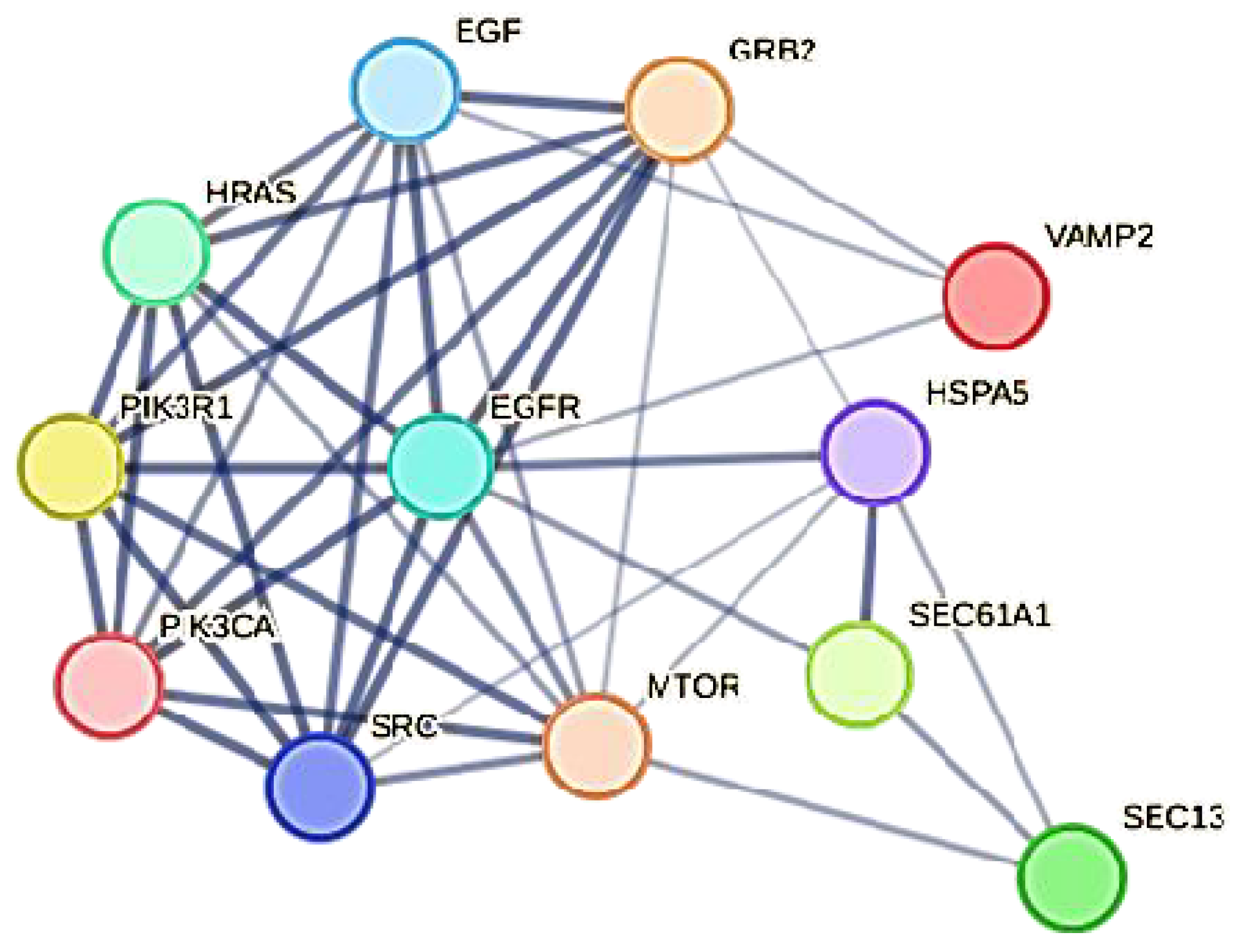 Biomolecules 14 00541 g006