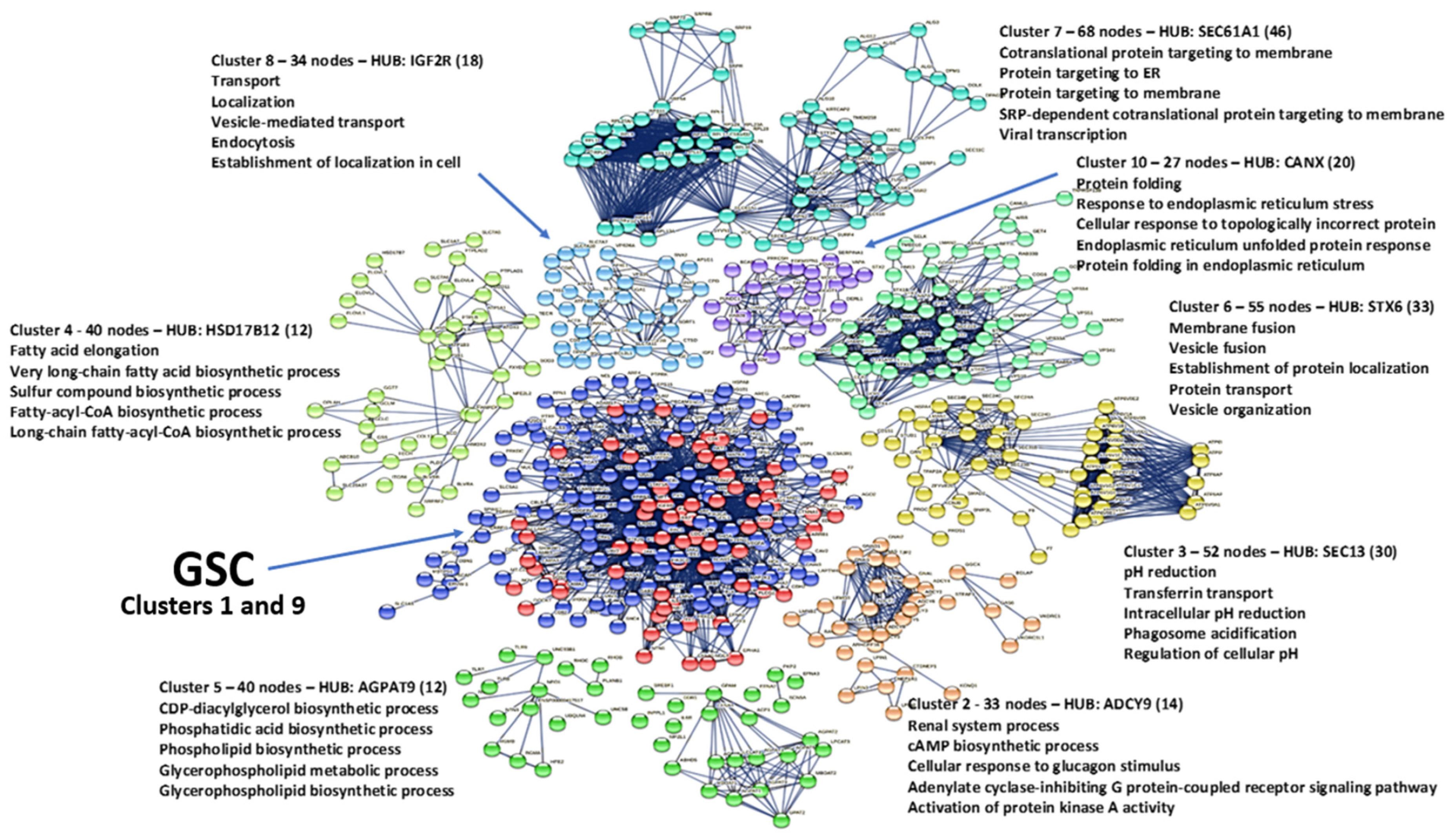 Biomolecules 14 00541 g007
