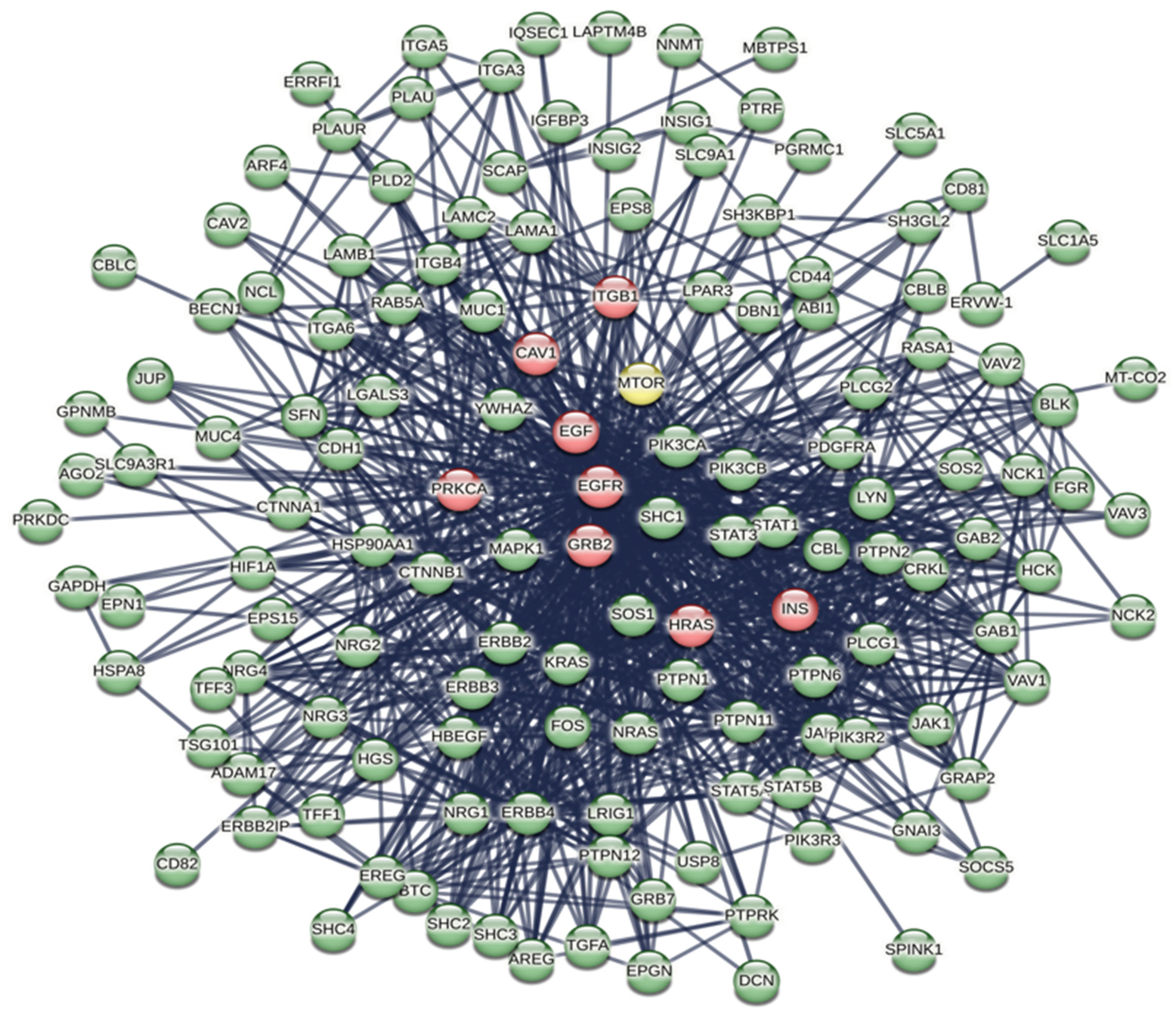 Biomolecules 14 00541 g008