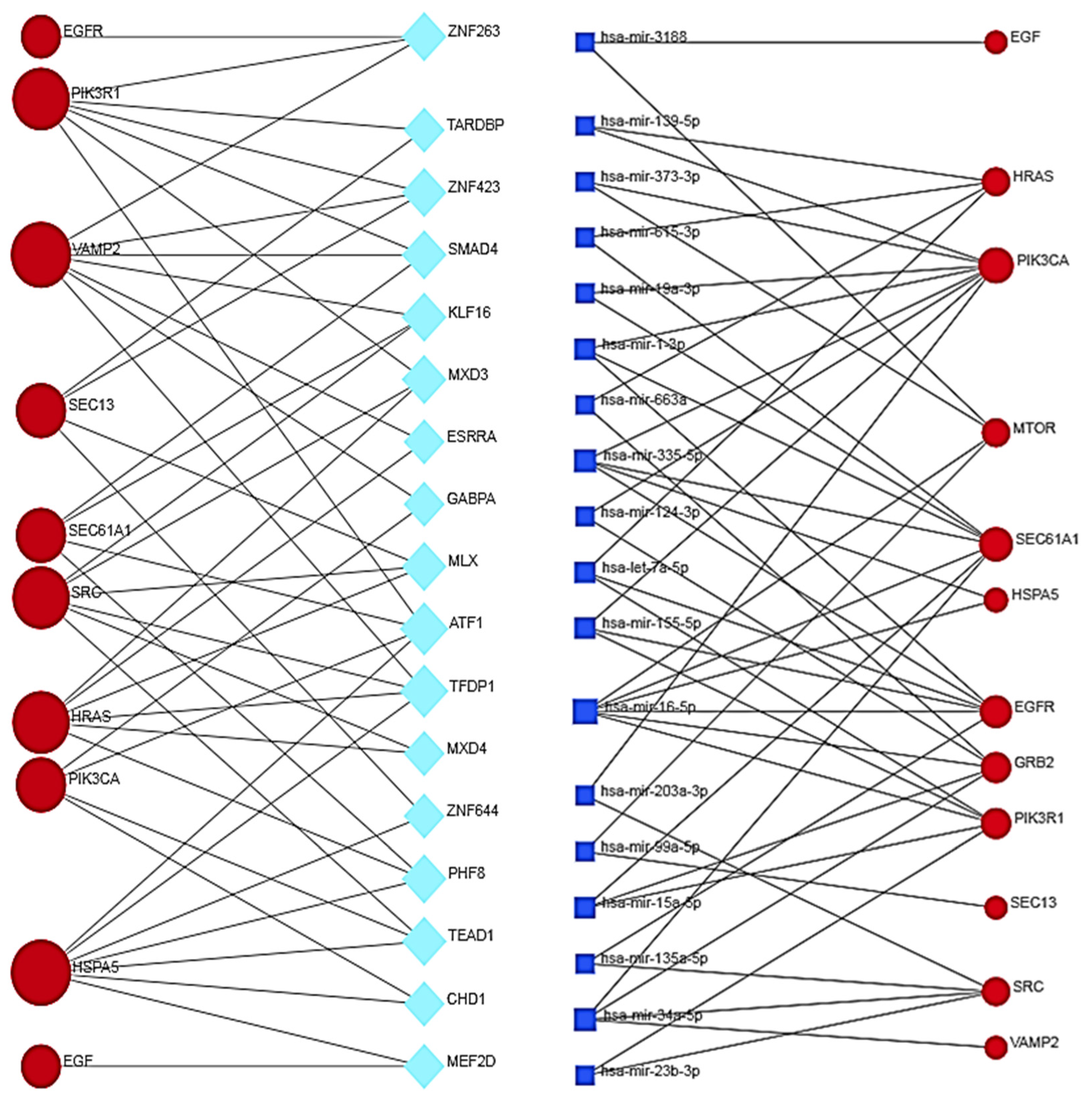 Biomolecules 14 00541 g010