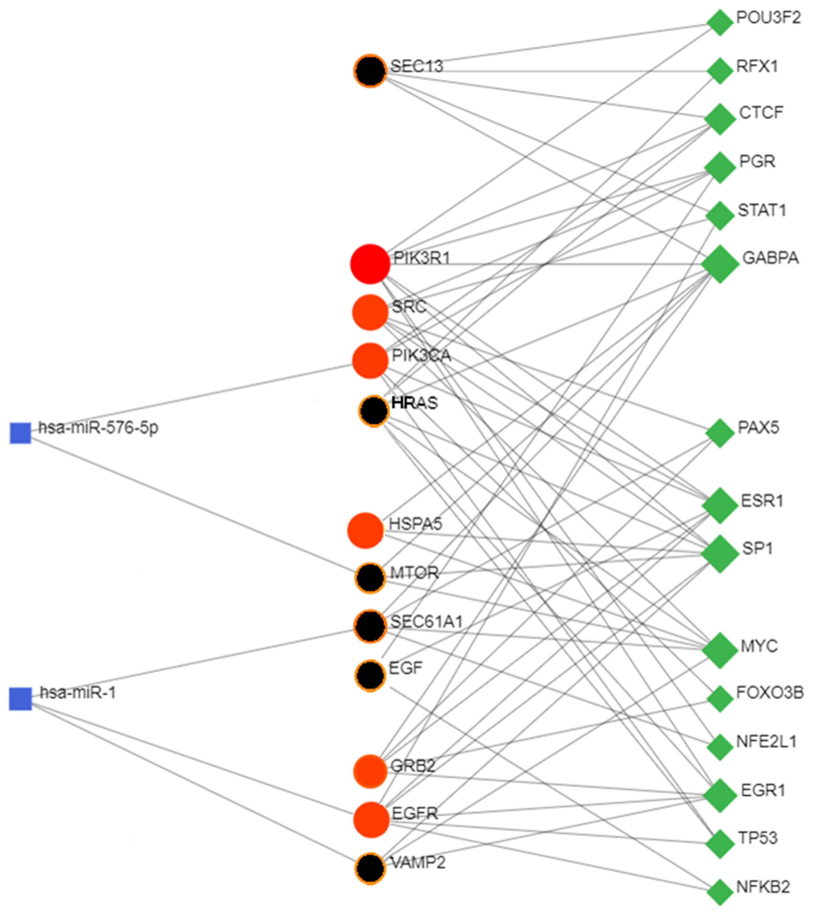 Biomolecules 14 00541 g011