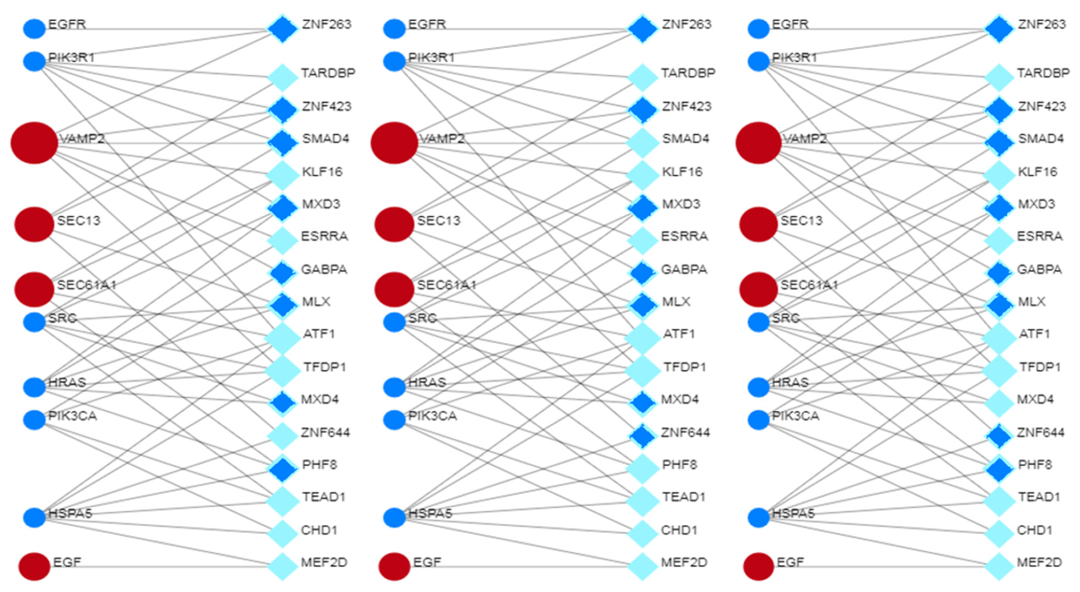 Biomolecules 14 00541 g012
