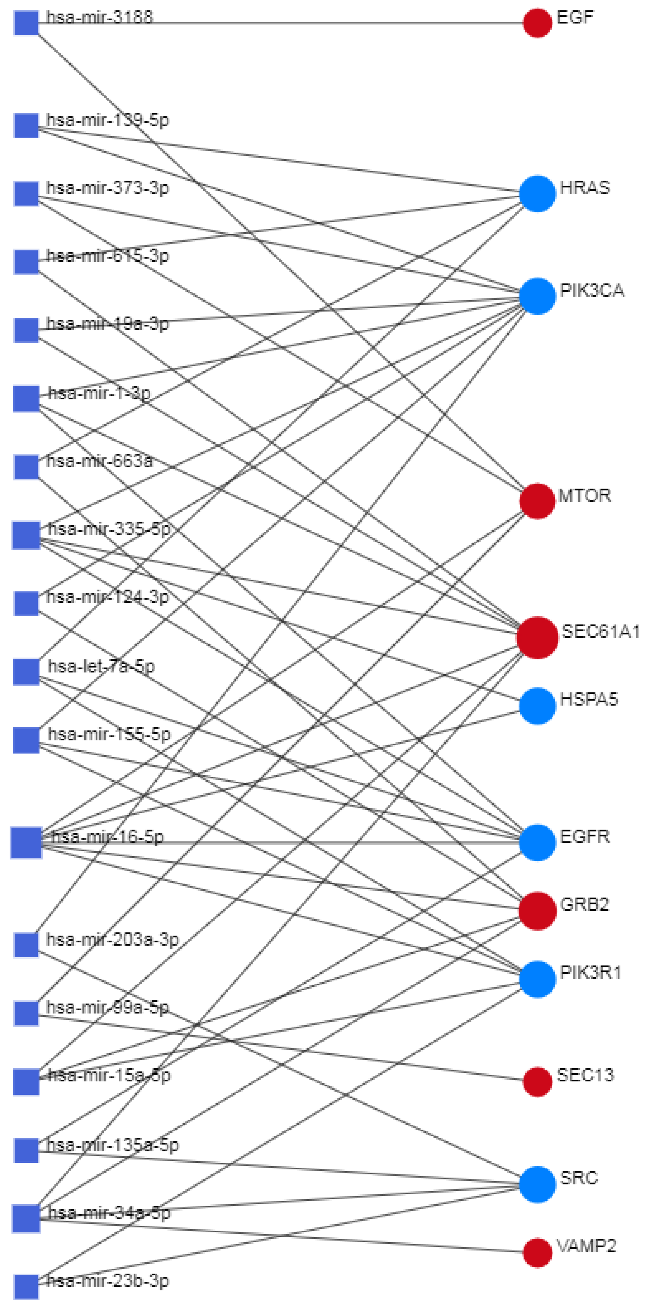 Biomolecules 14 00541 g013