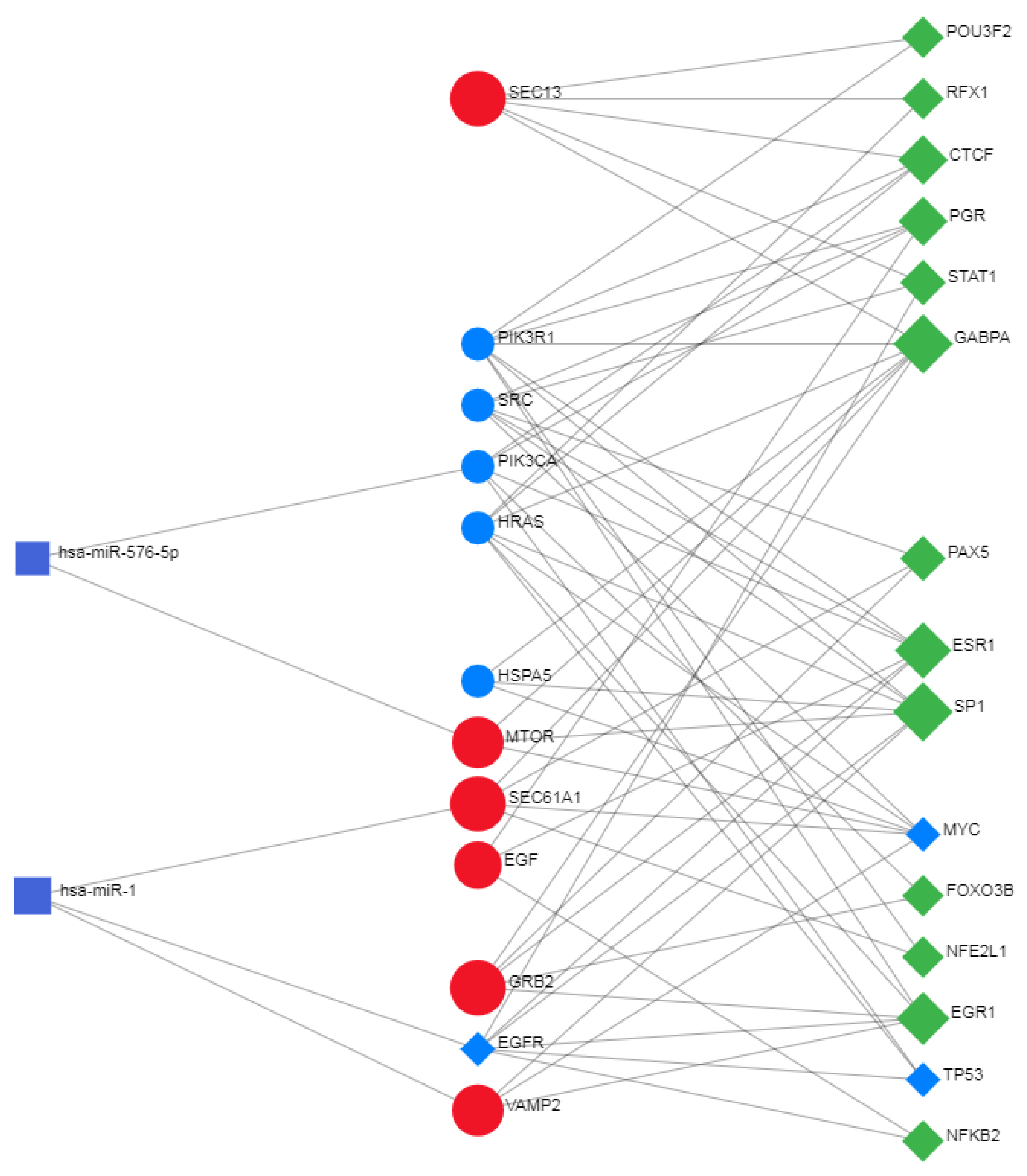 Biomolecules 14 00541 g014