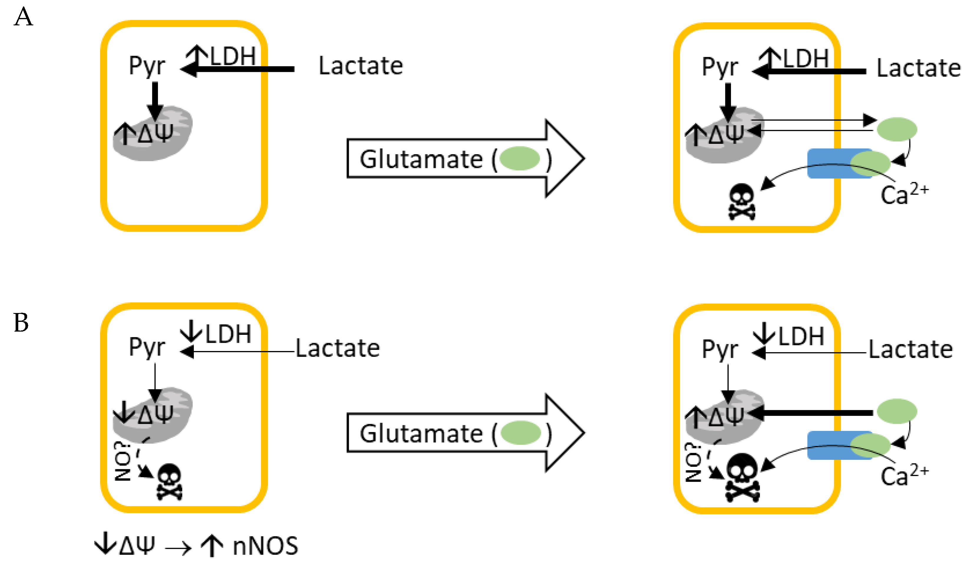 Biomolecules 14 00543 g001