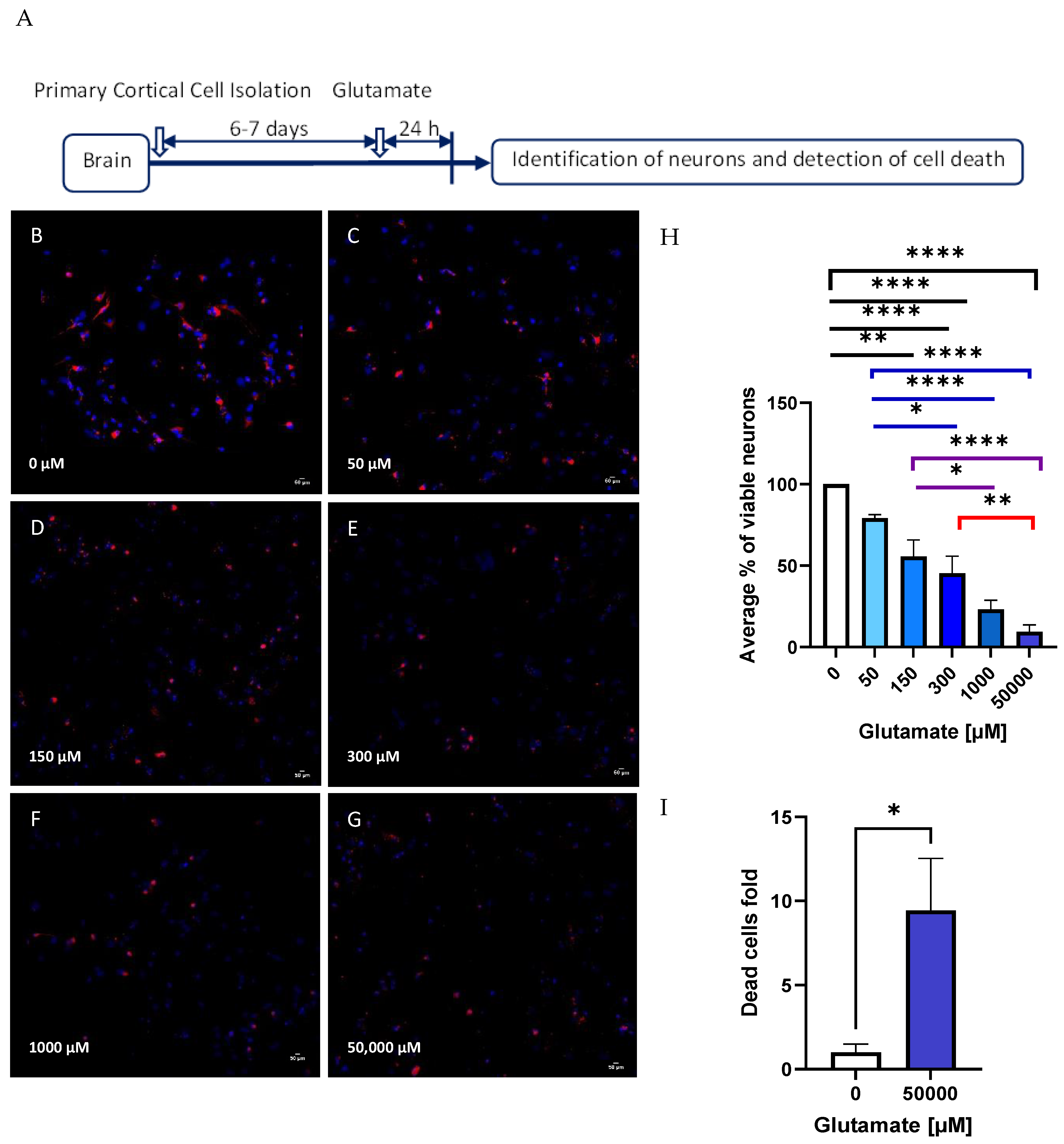 Biomolecules 14 00543 g003
