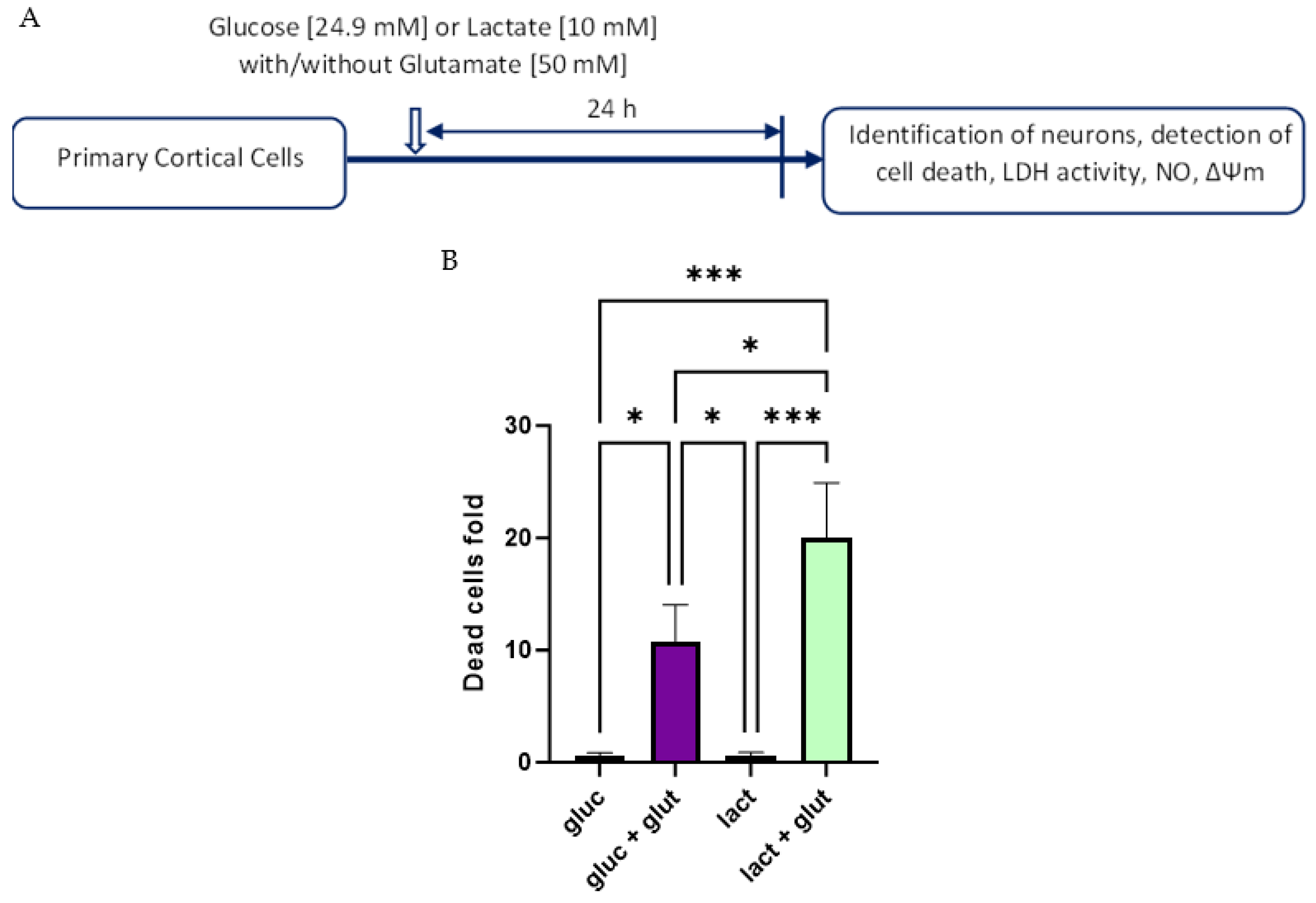 Biomolecules 14 00543 g004