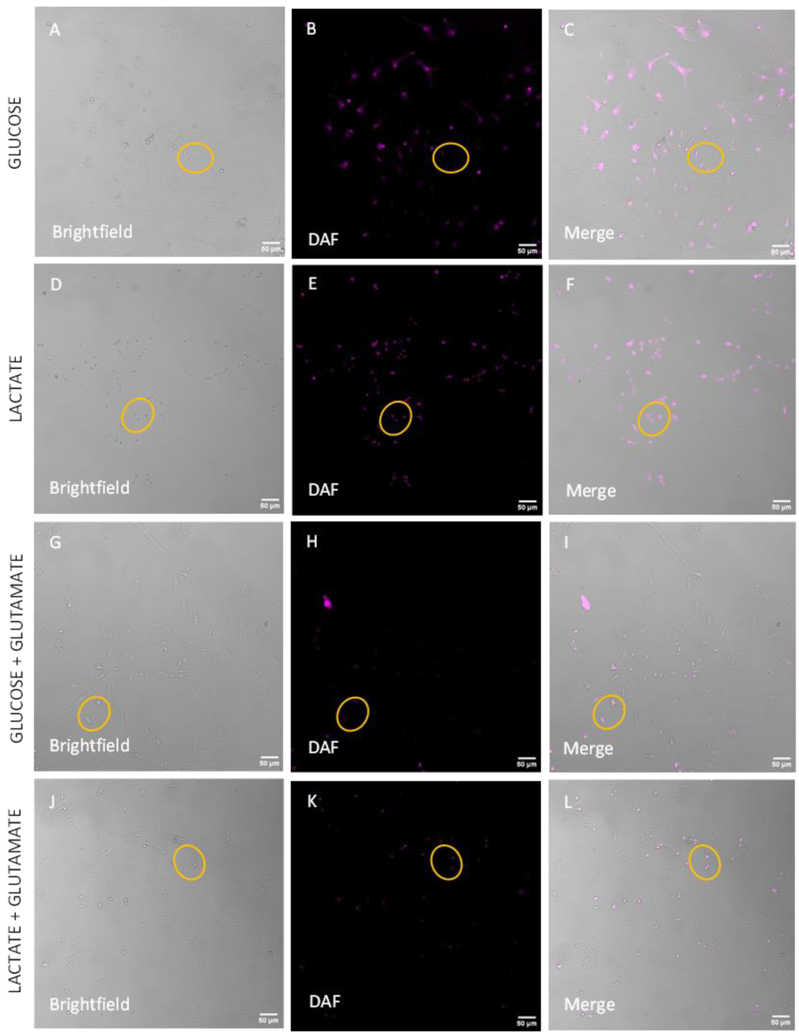 Biomolecules 14 00543 g005a