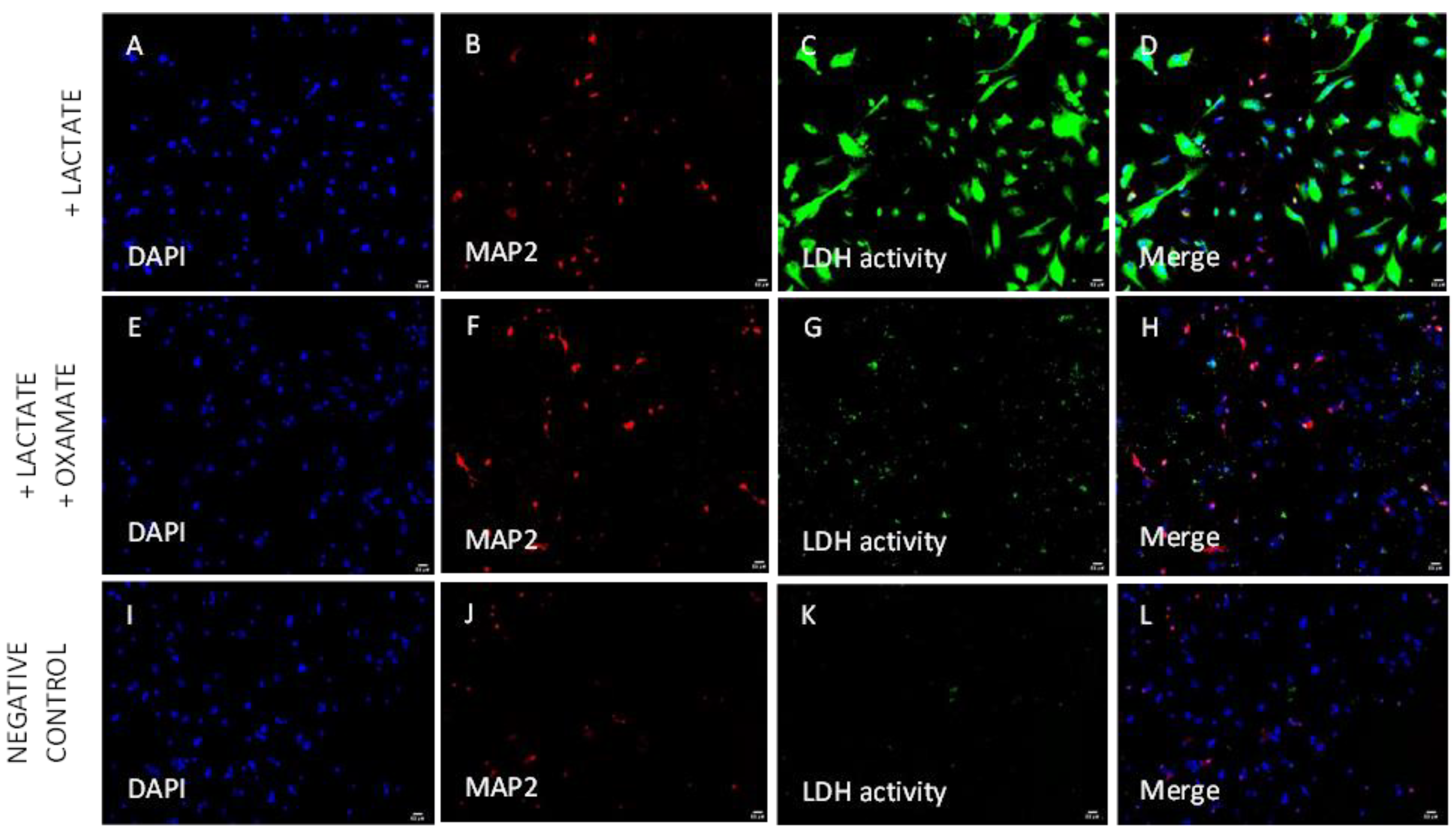 Biomolecules 14 00543 g007