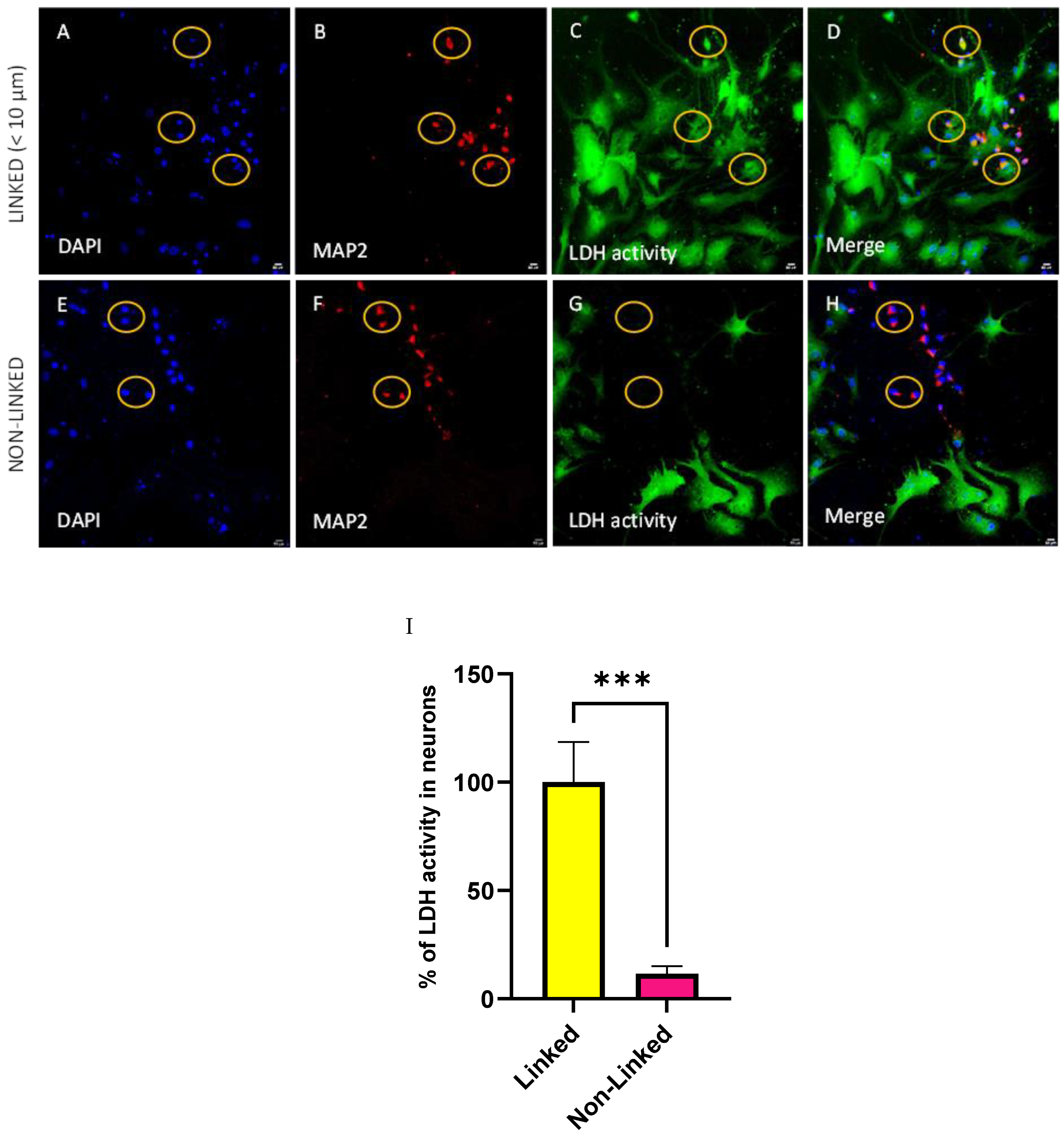 Biomolecules 14 00543 g008