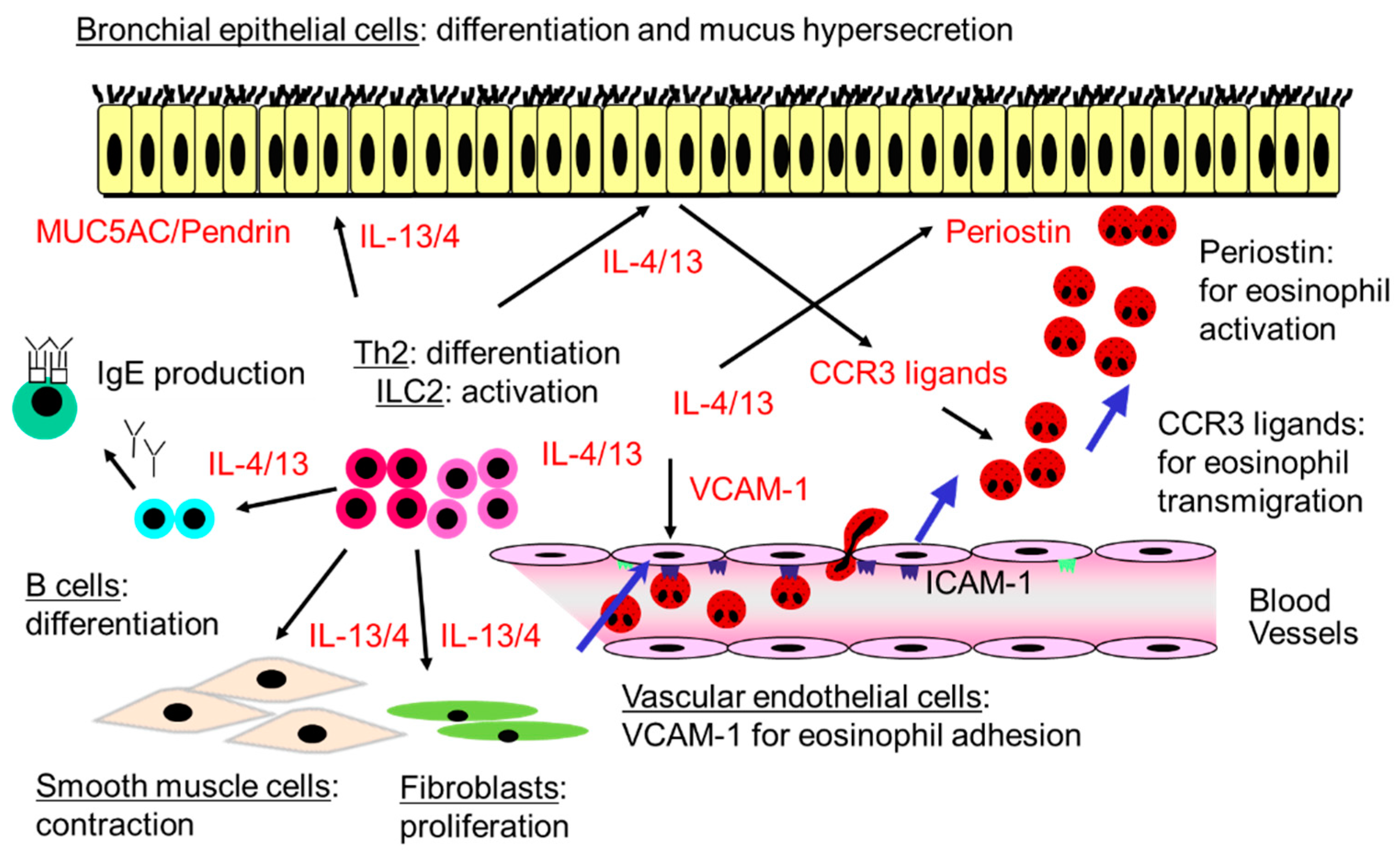 Biomolecules 14 00546 g001