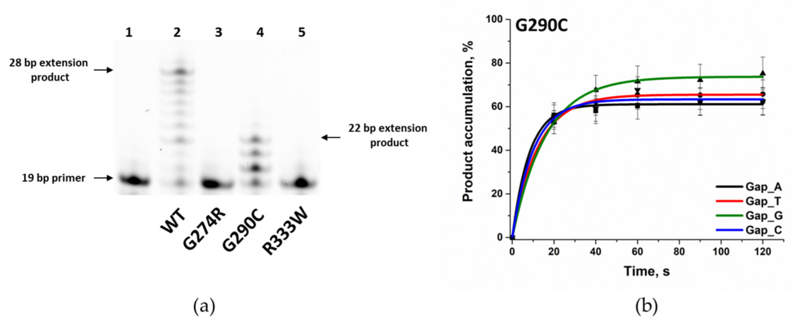 Biomolecules 14 00547 g007