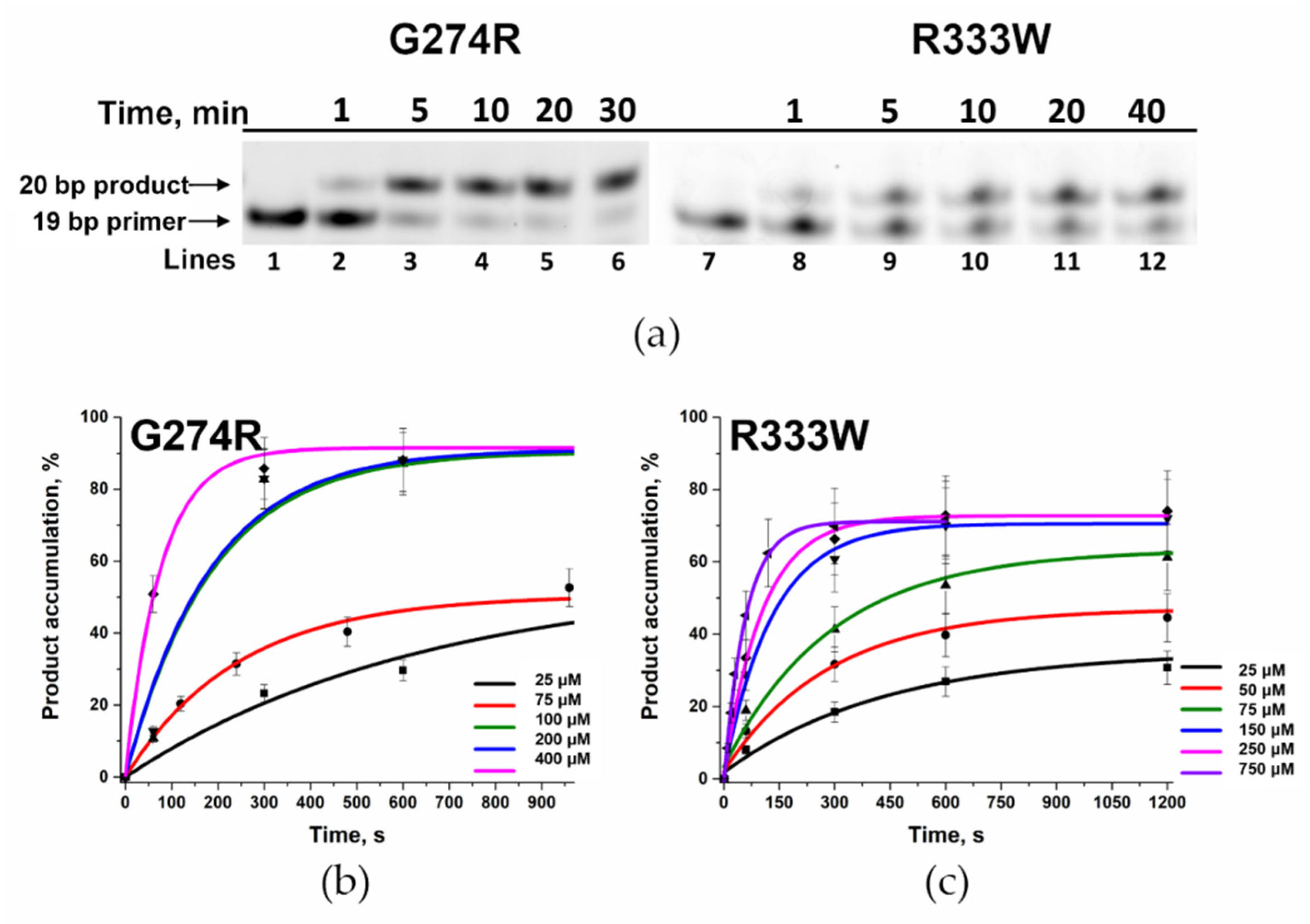 Biomolecules 14 00547 g009